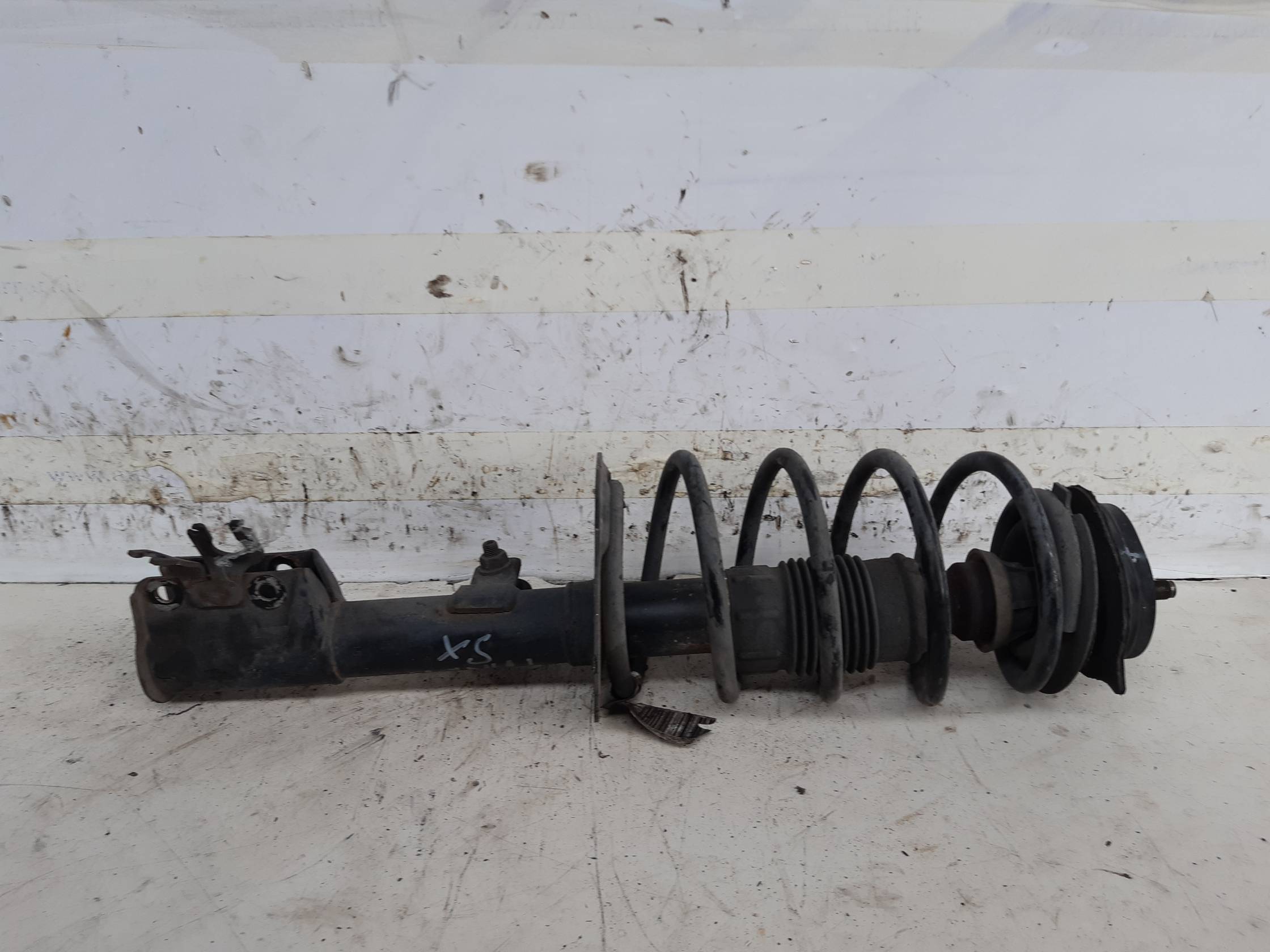 Ammortizzatore ant. sx.