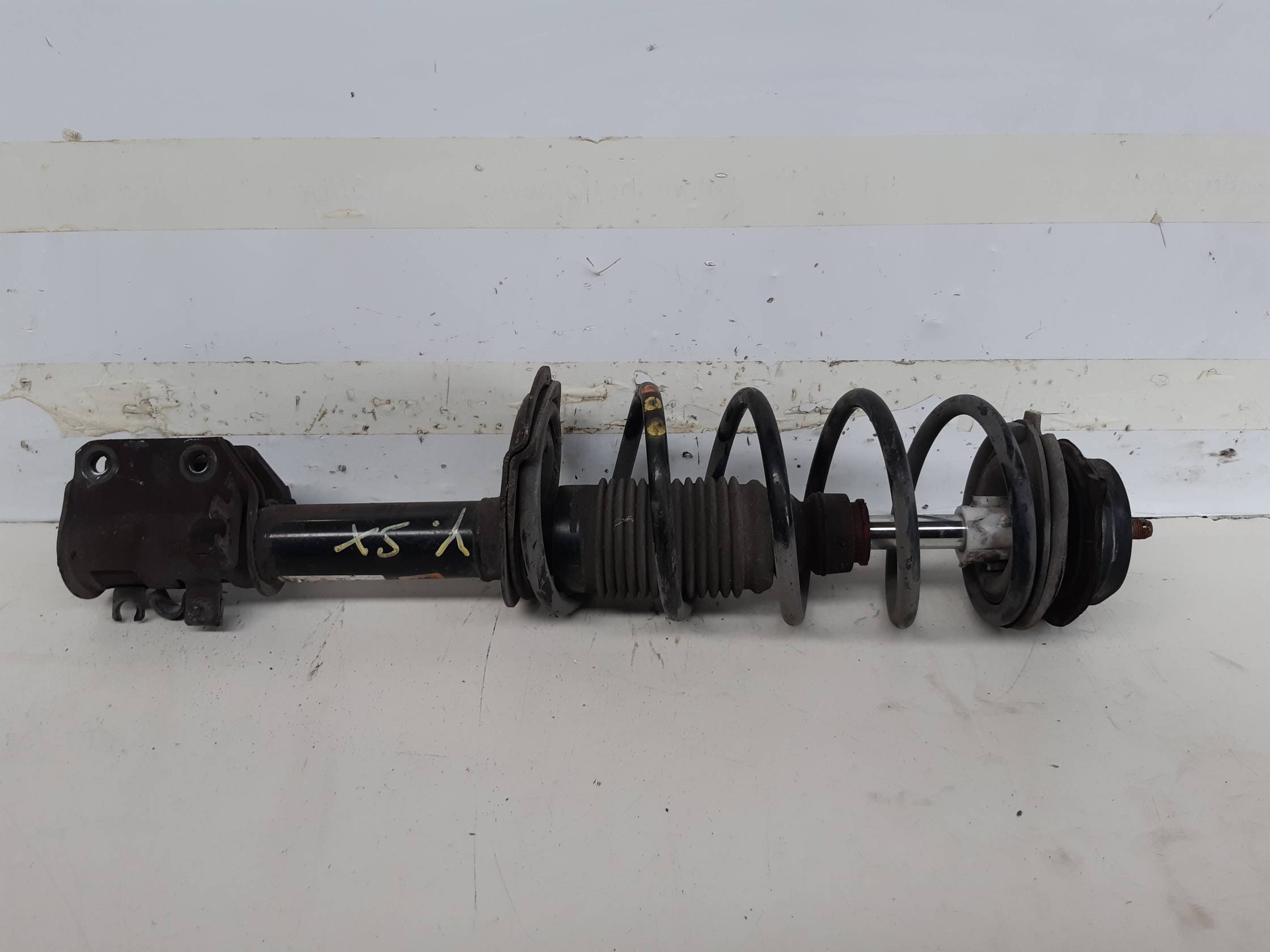 Ammortizzatore ant. sx.