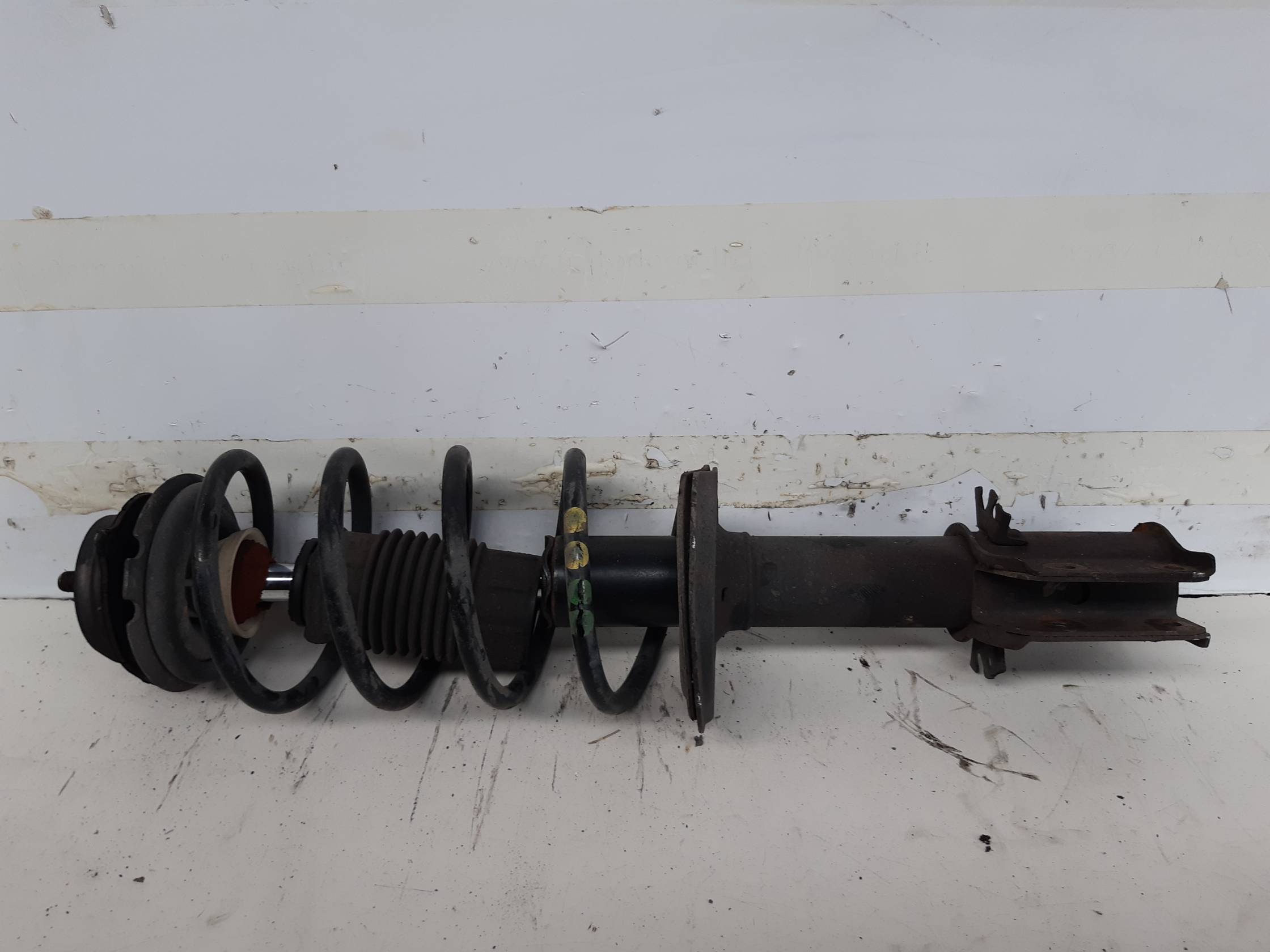 Ammortizzatore ant. sx.