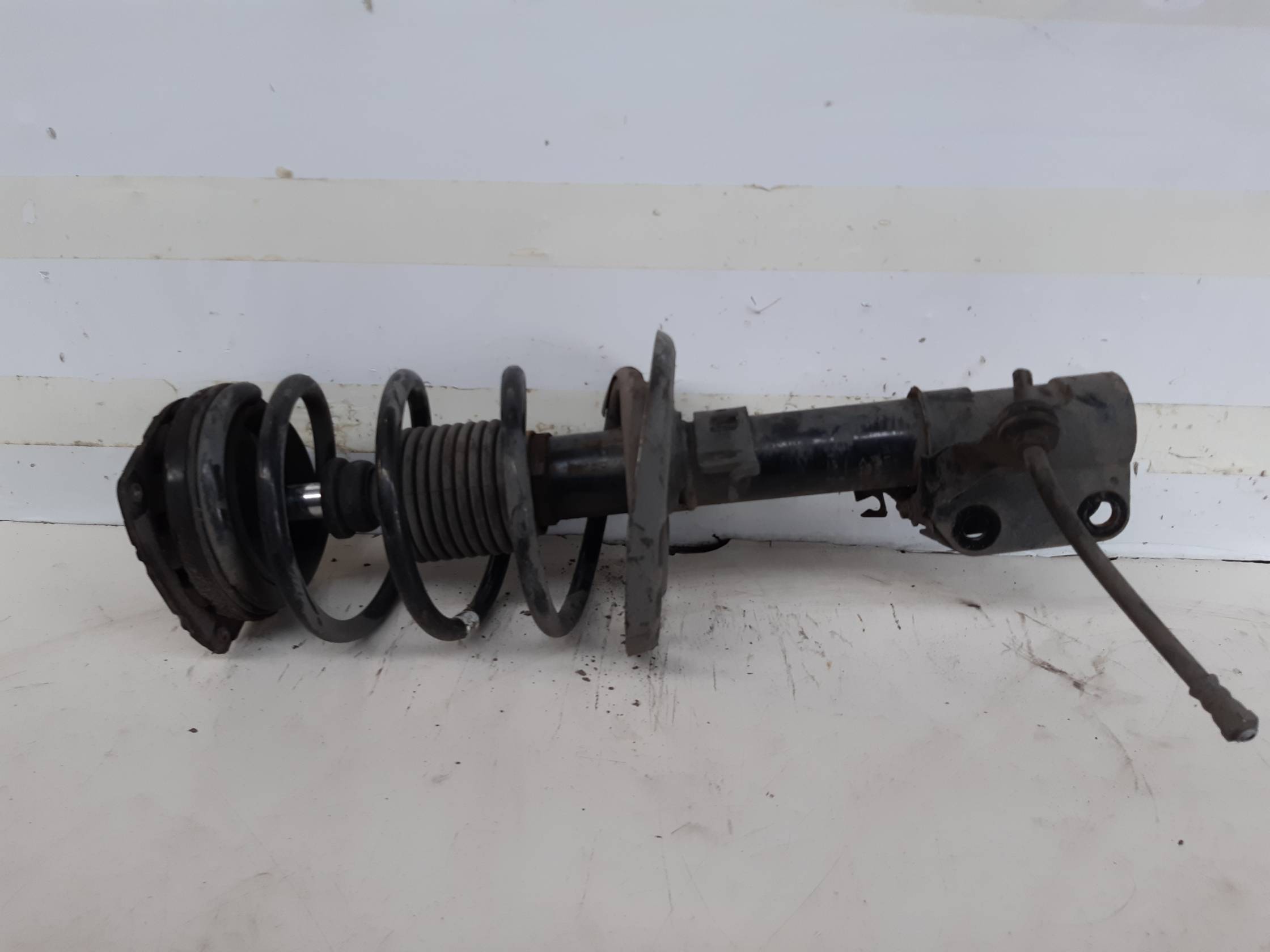 Ammortizzatore ant. dx.