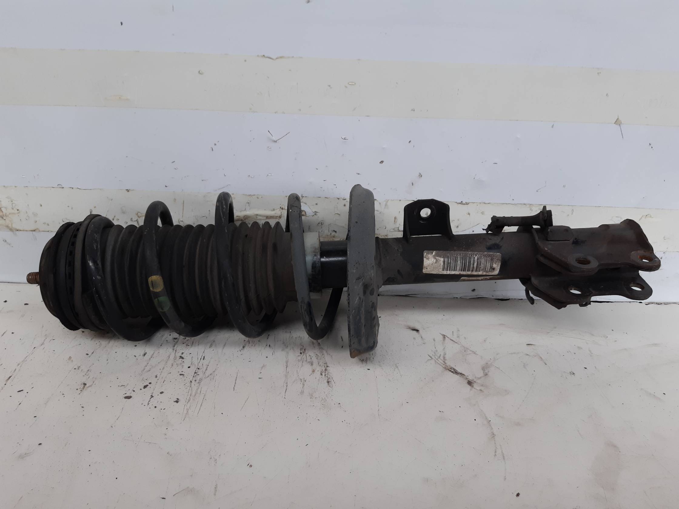 Ammortizzatore ant. sx.