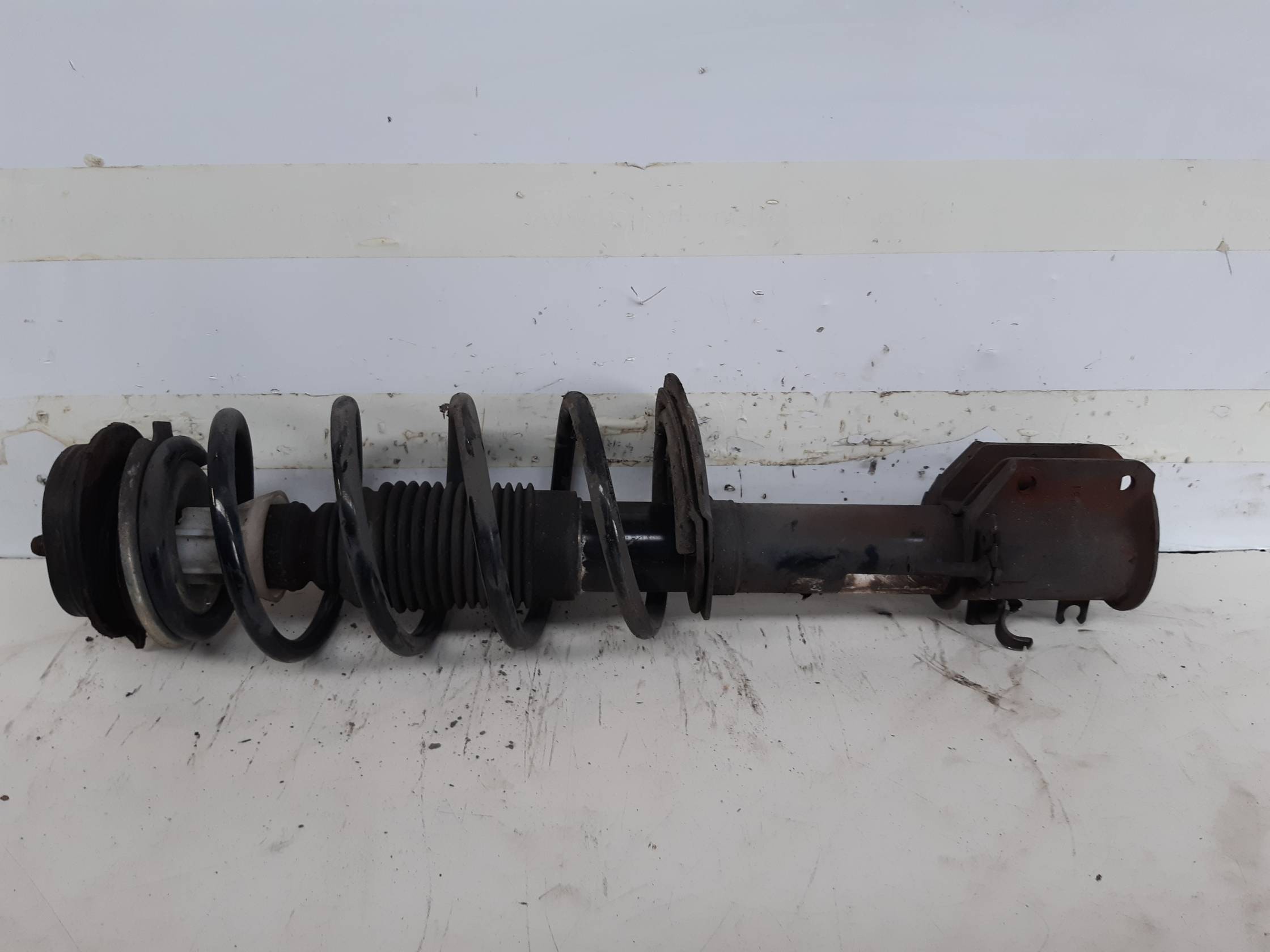 Ammortizzatore ant. sx.