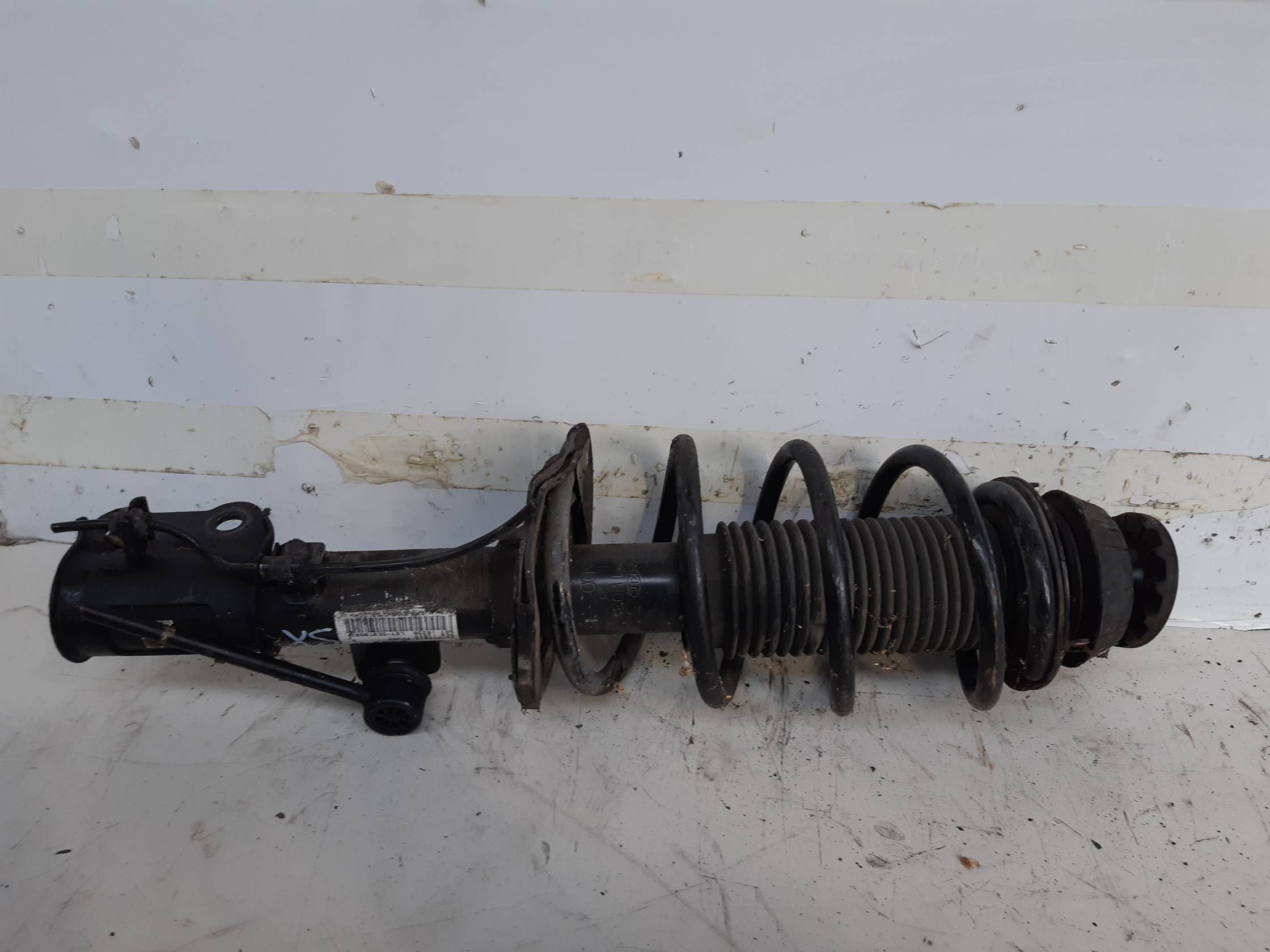 Ammortizzatore ant. sx.