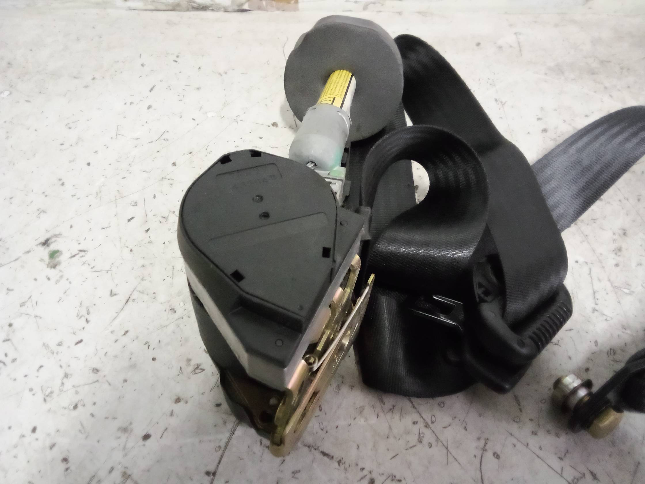 Cintura sicurezza ant. dx.