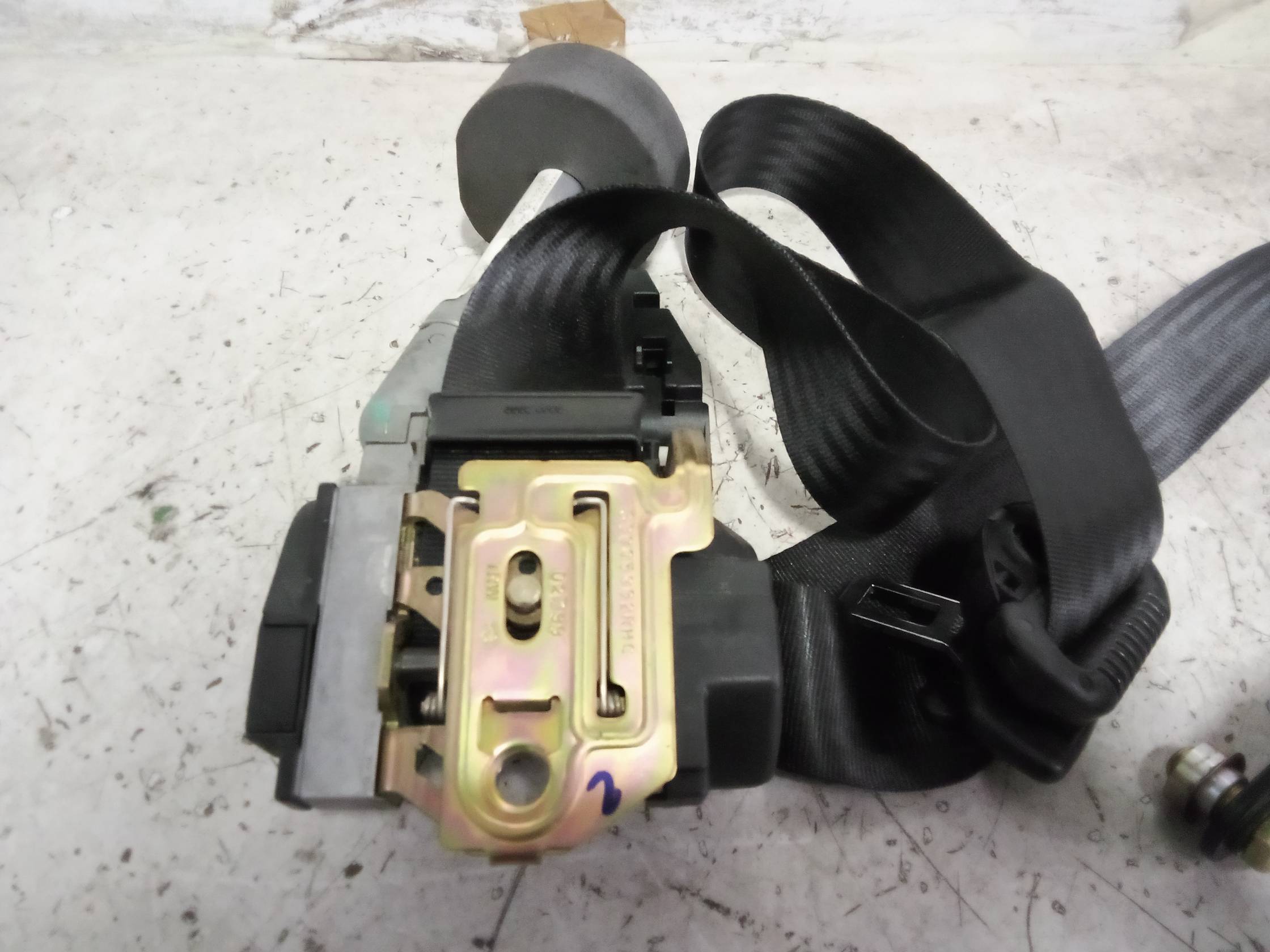 Cintura sicurezza ant. dx.