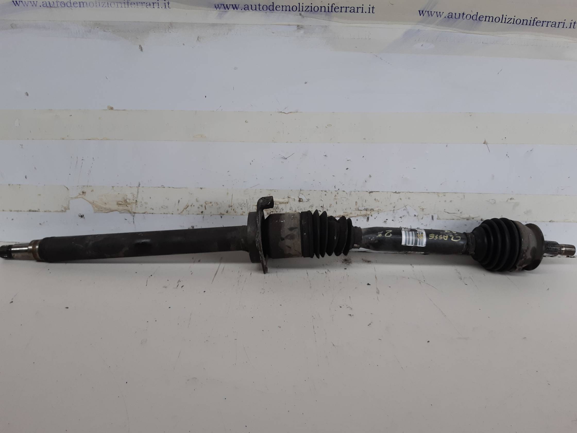 Semialbero ant. compl. dx.