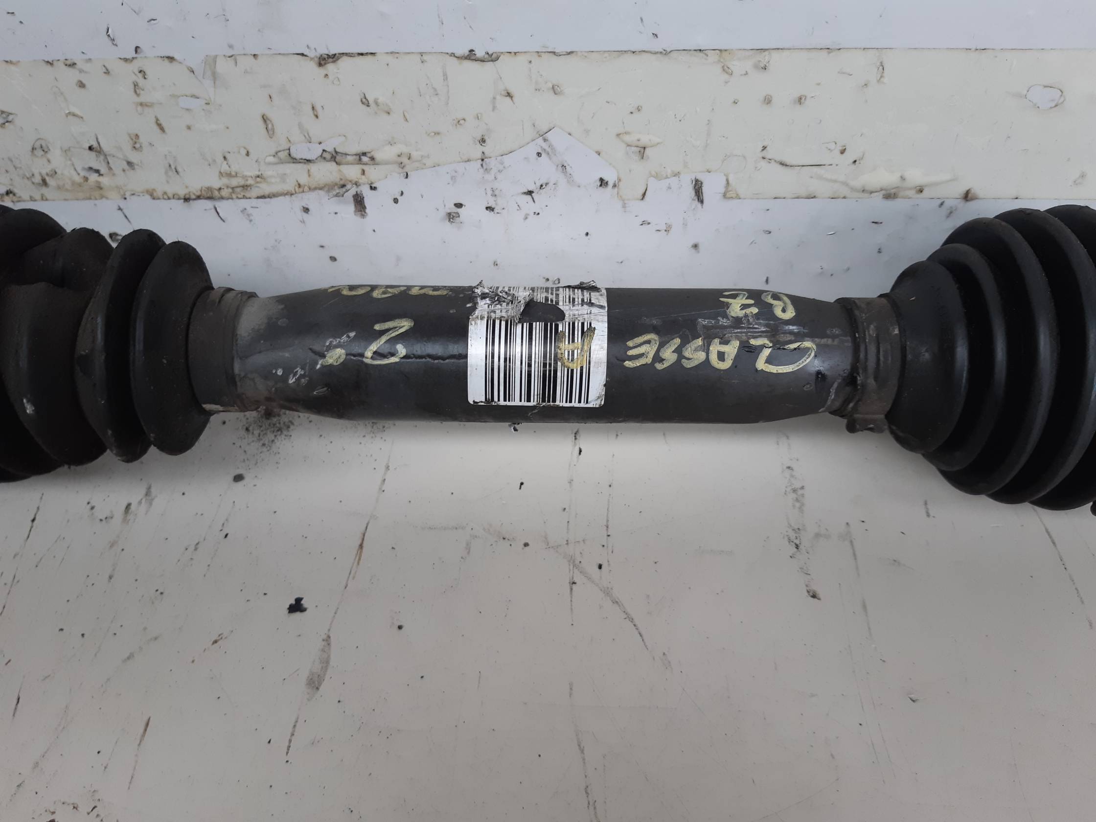 Semialbero ant. compl. dx.