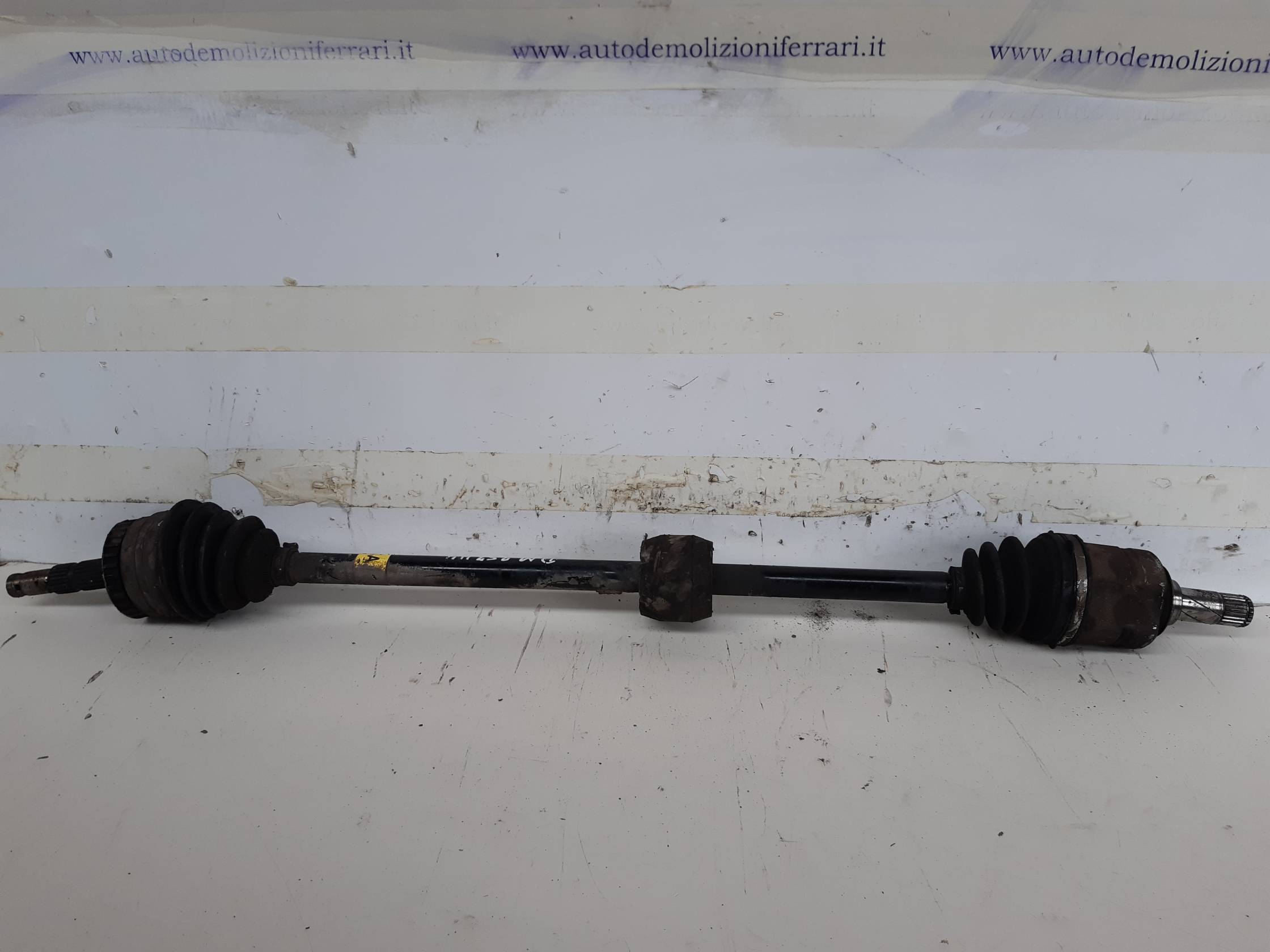 Semialbero ant. compl. dx.