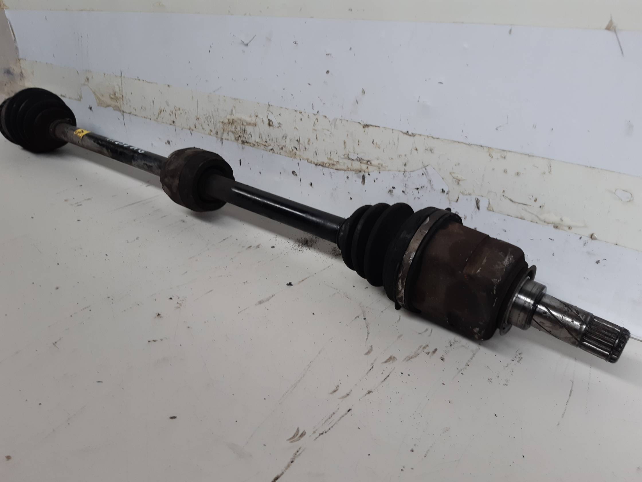 Semialbero ant. compl. dx.