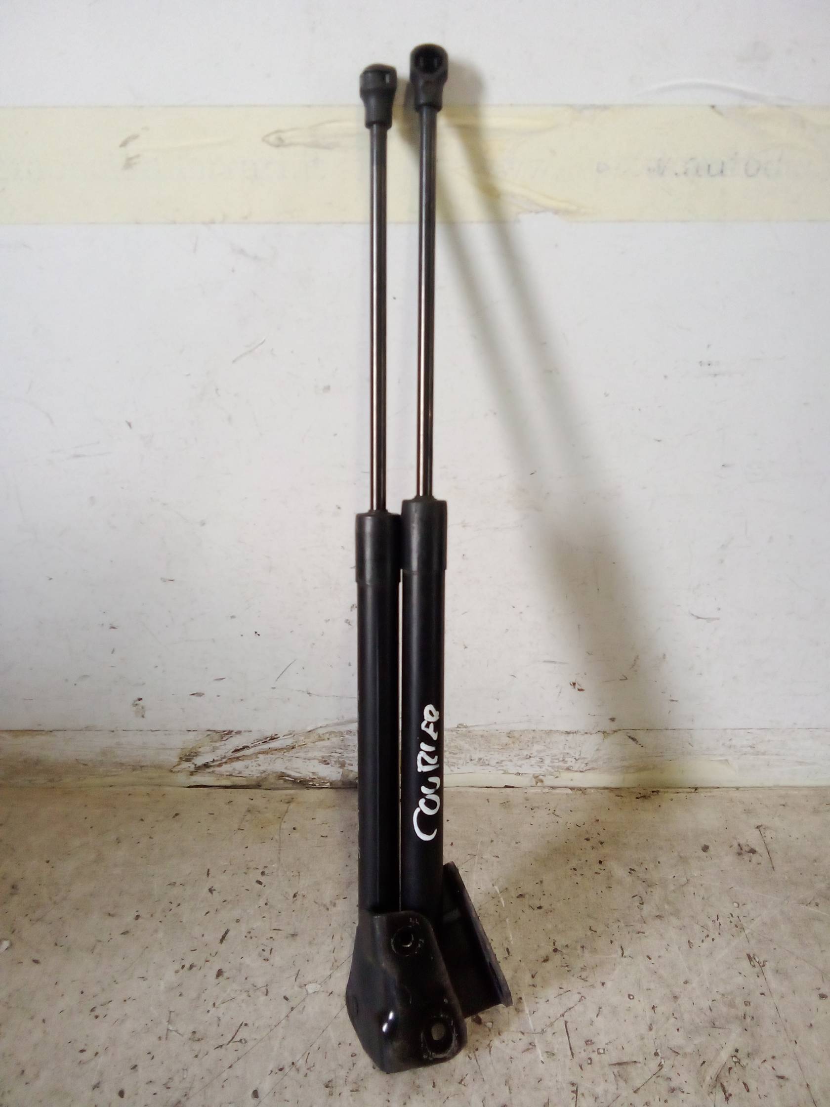 Asta ammortizzante portello post. sx.