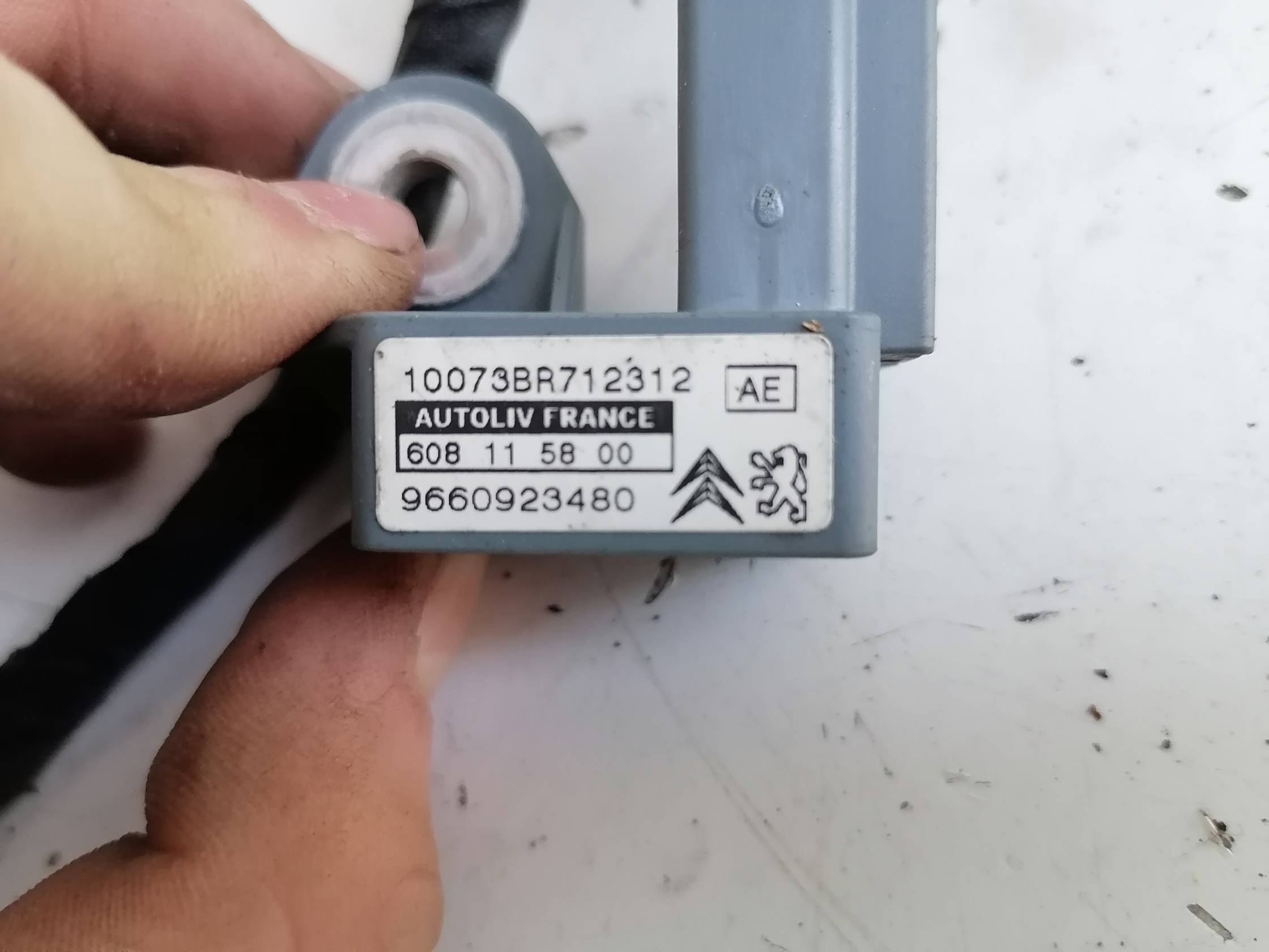 Cintura di sicurezza ant. sx.