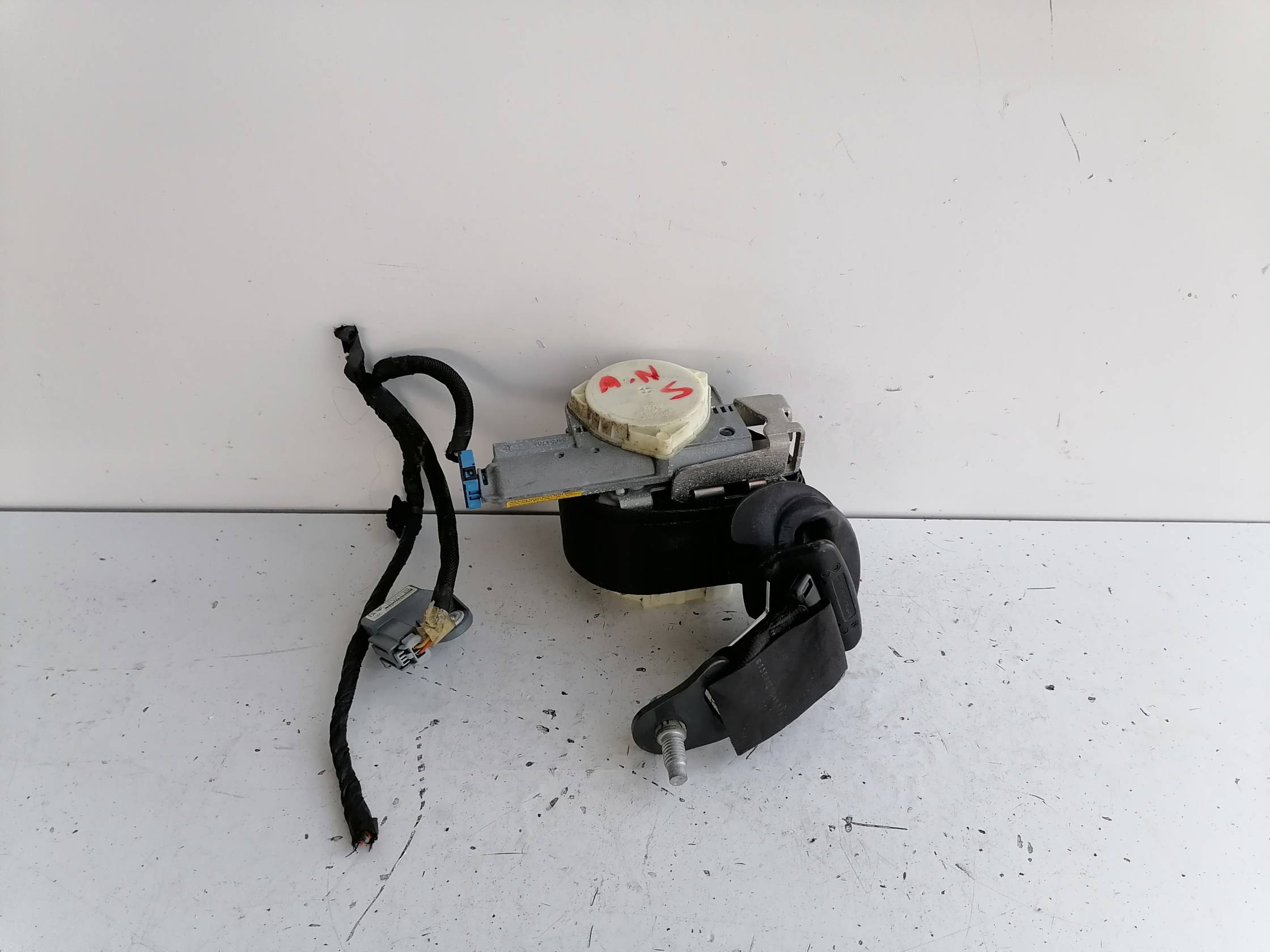 Cintura di sicurezza ant. sx.