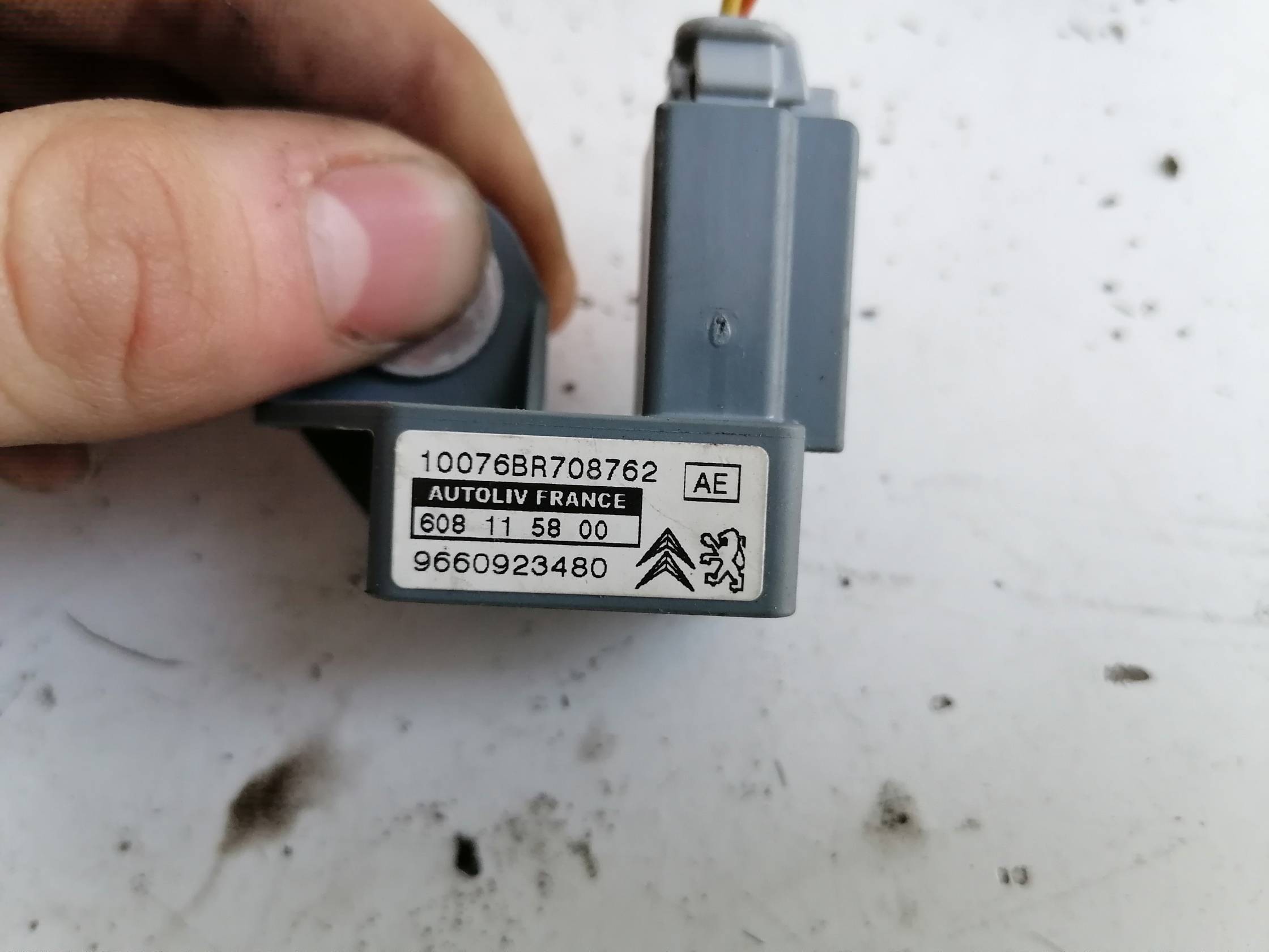 Cintura di sicurezza ant. dx.