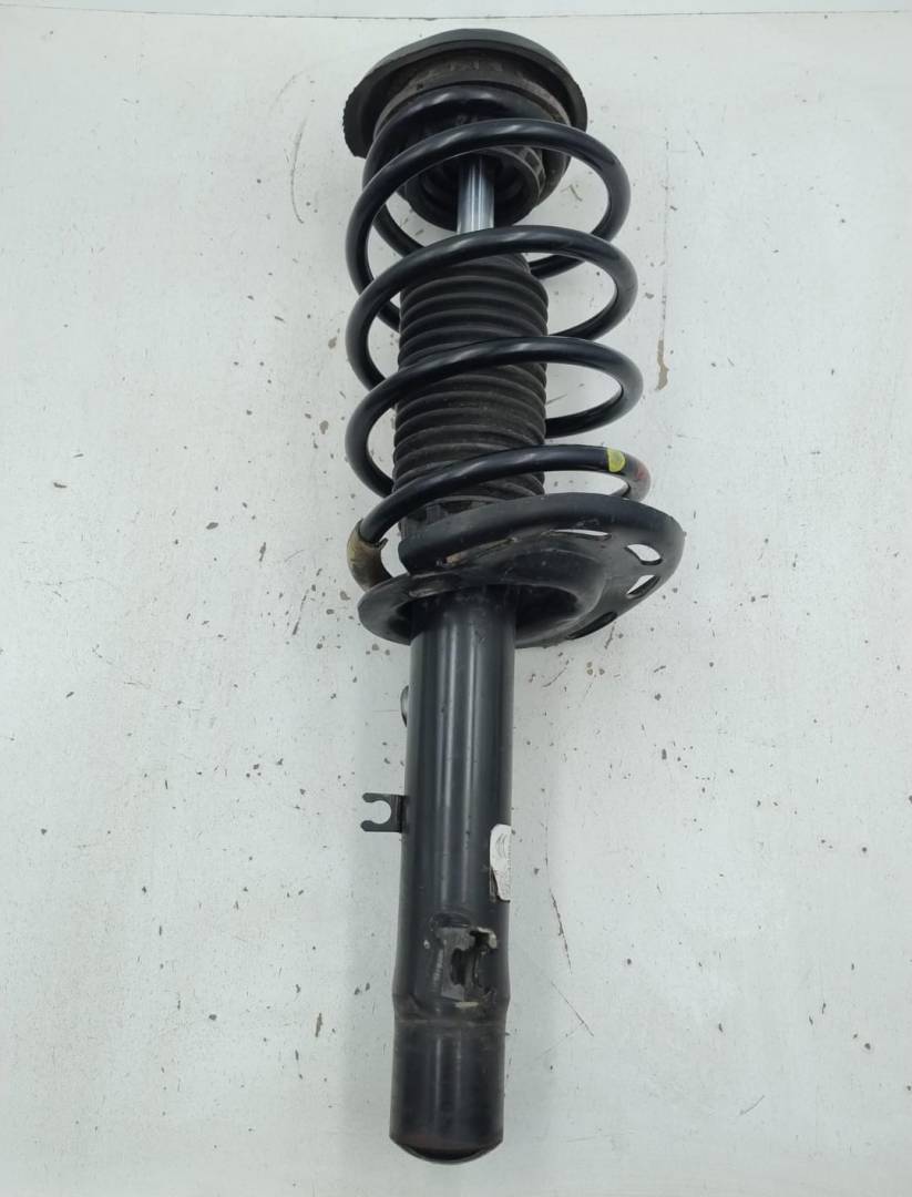 Ammortizzatore ant. dx.