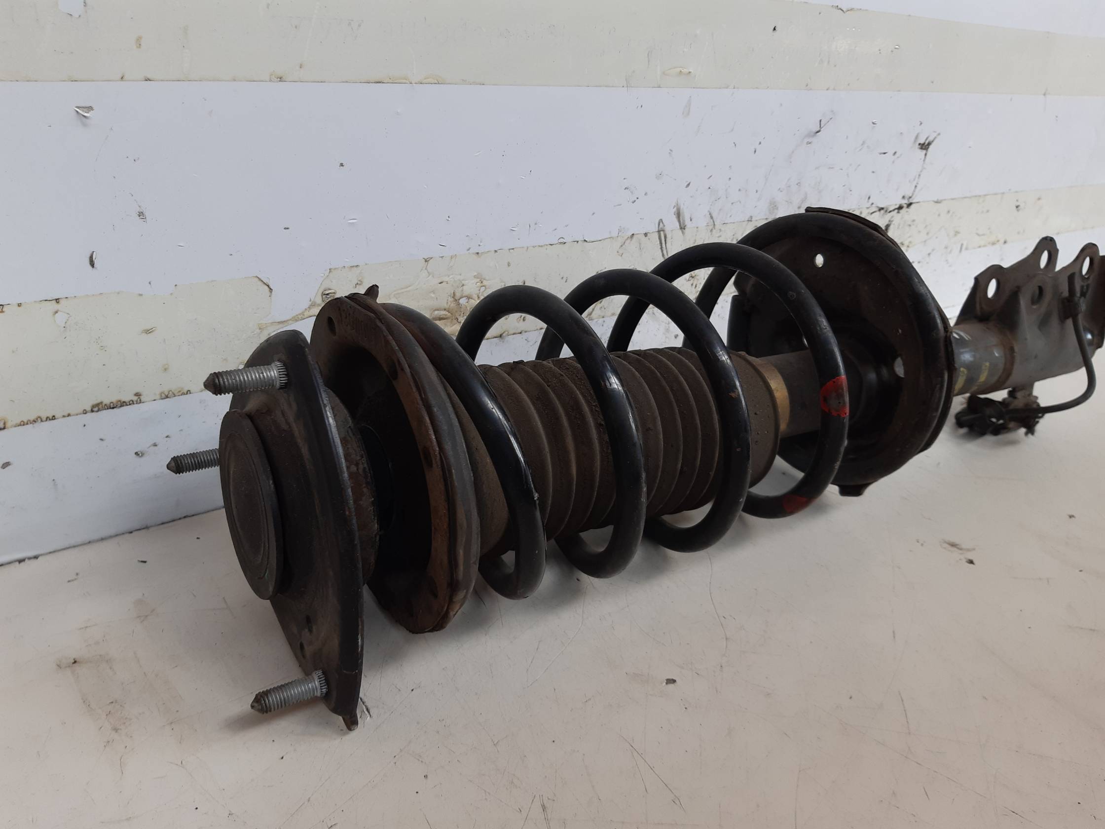 Ammortizzatore ant. dx.