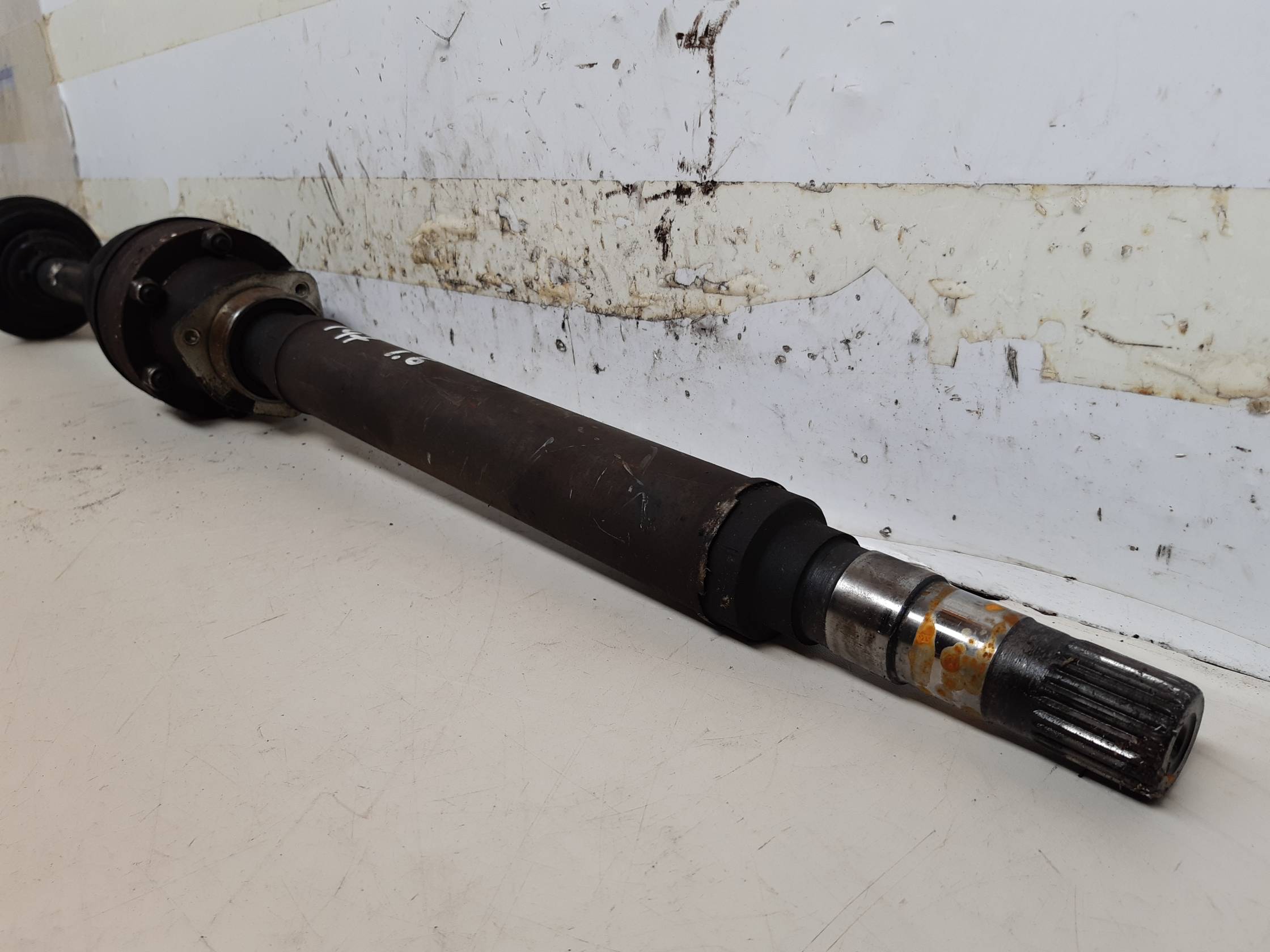 Semialbero ant. compl. dx.