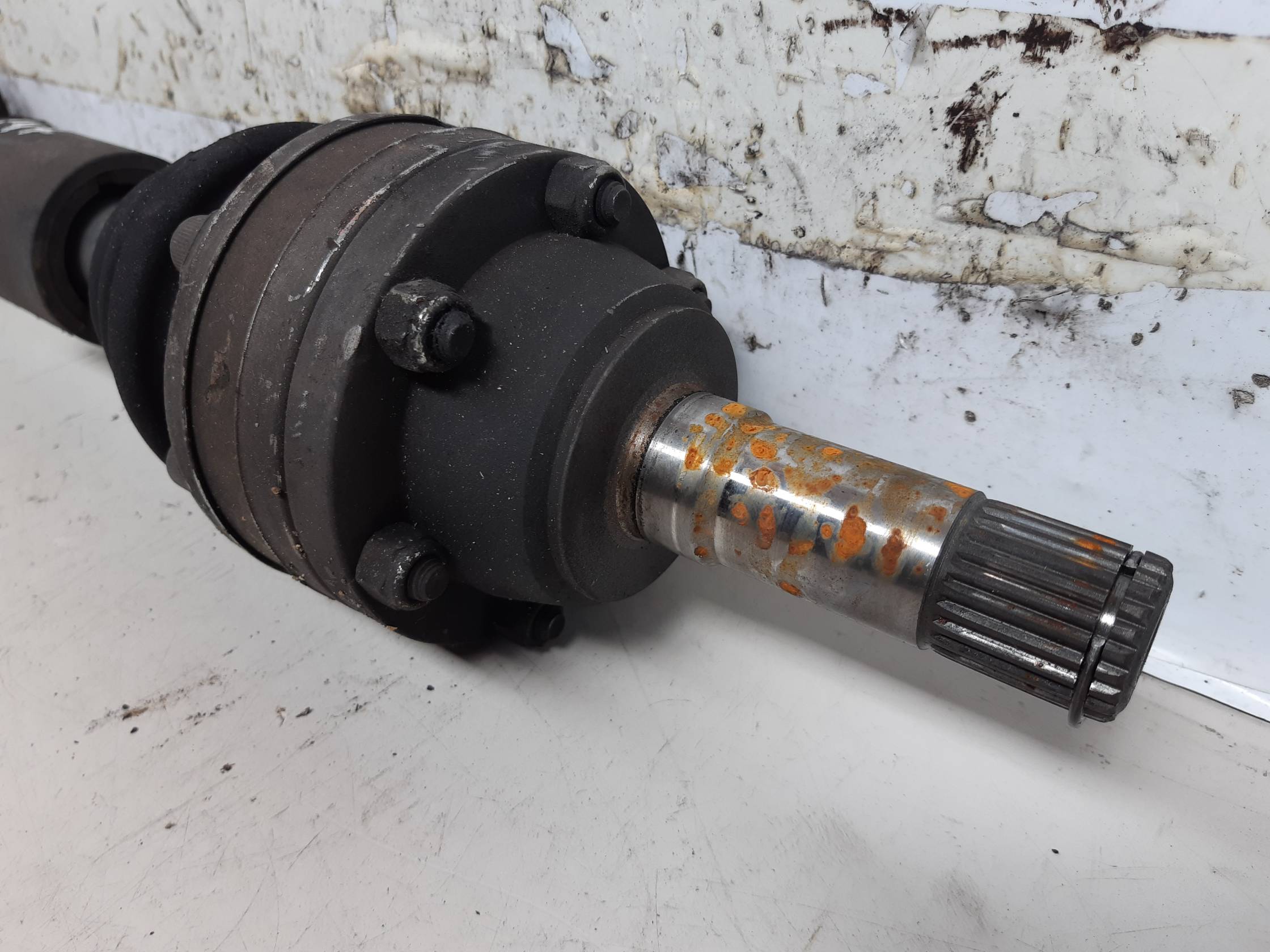 Semialbero ant. compl. sx.