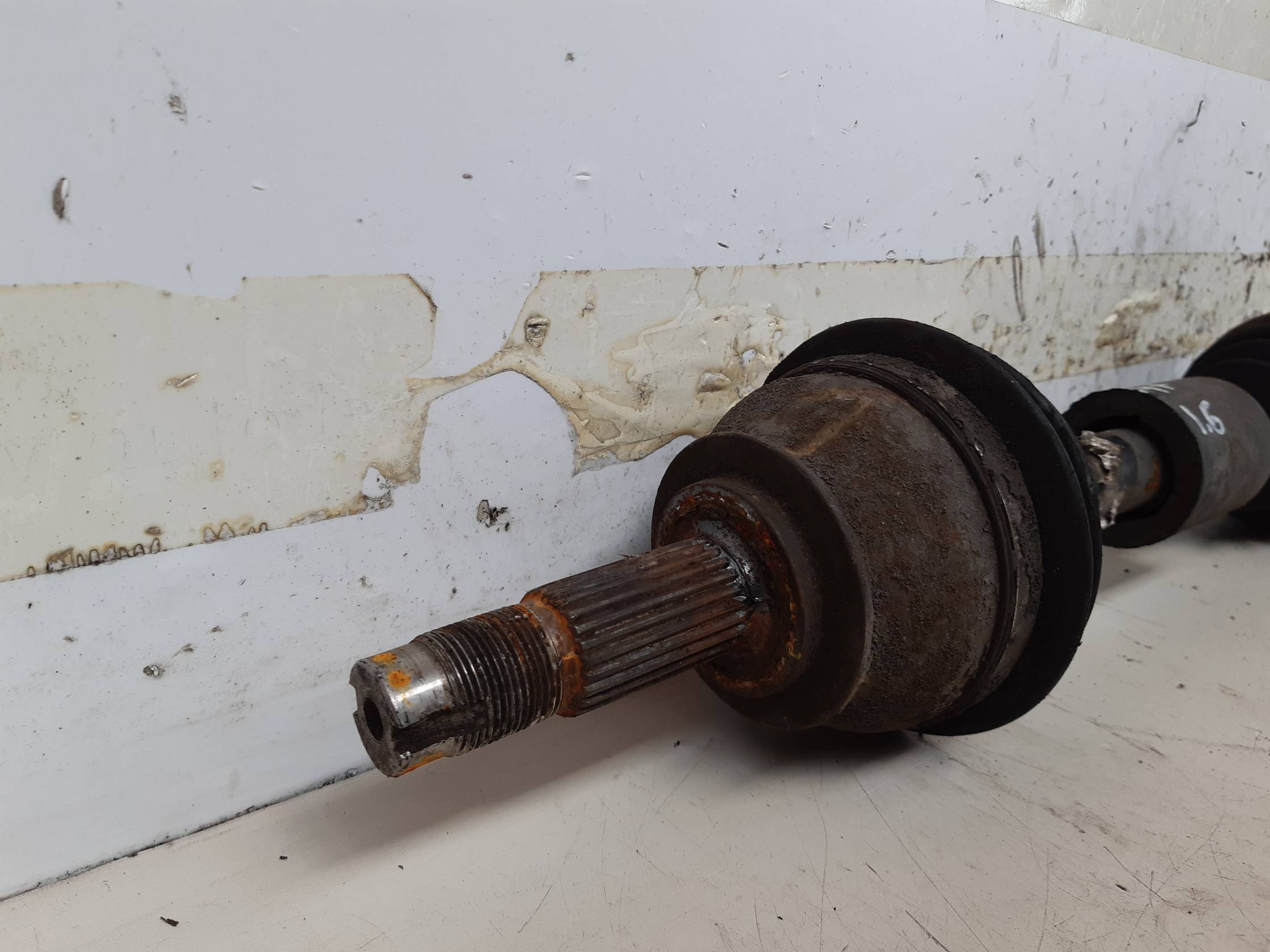 Semialbero ant. compl. sx.