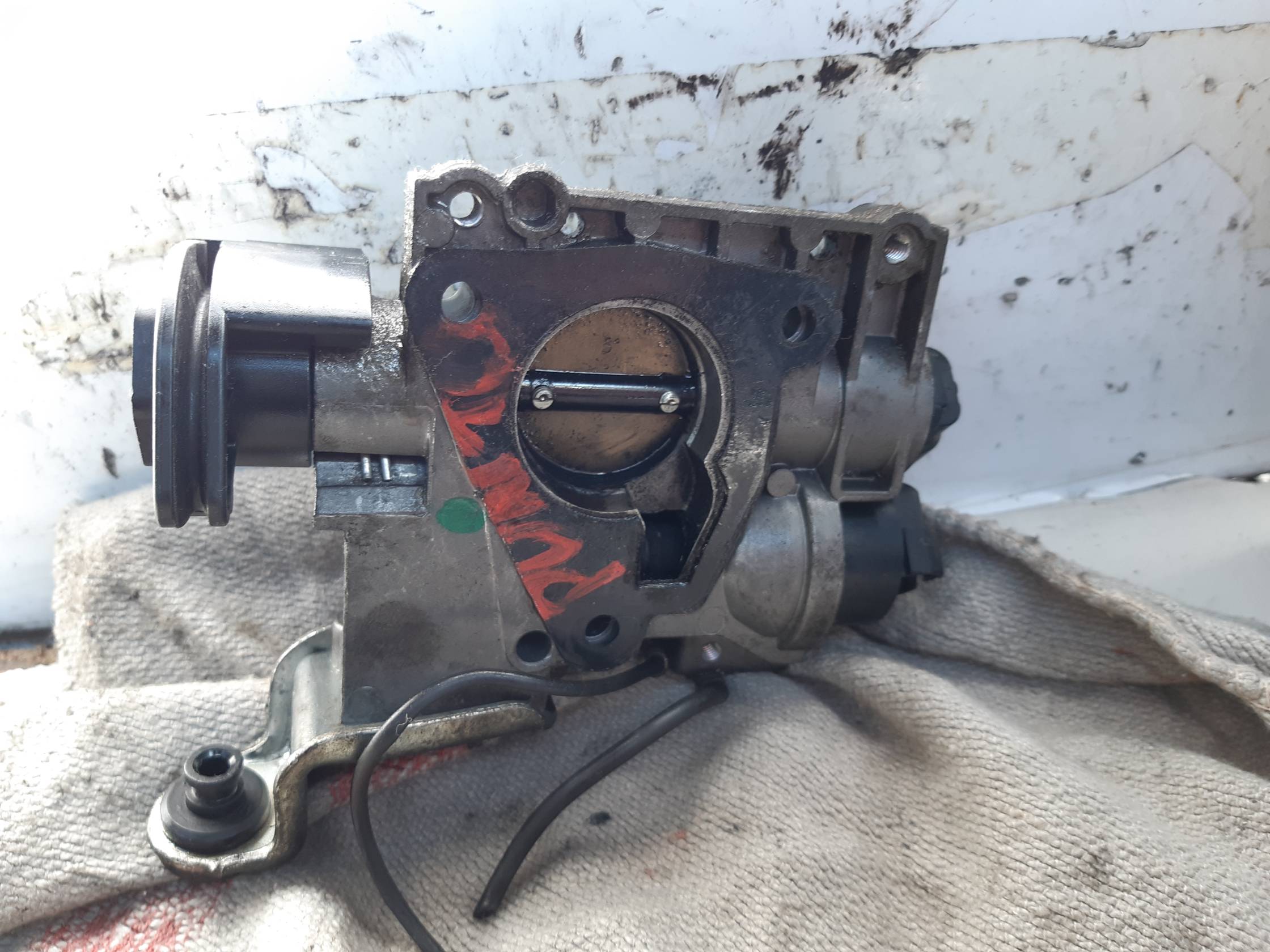 Corpo farfallato Corpo farfallato