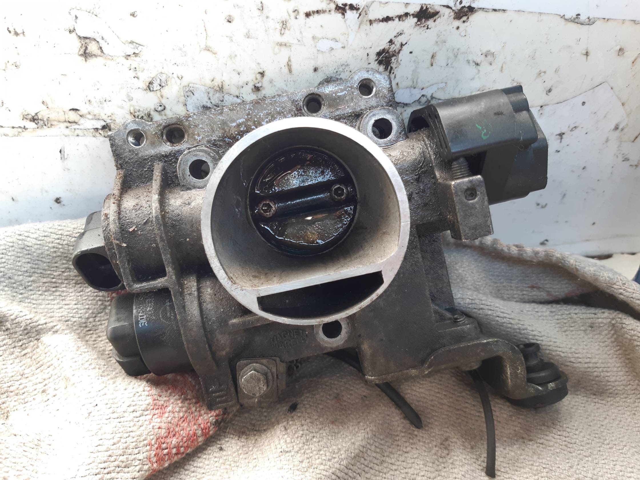 Corpo farfallato Corpo farfallato