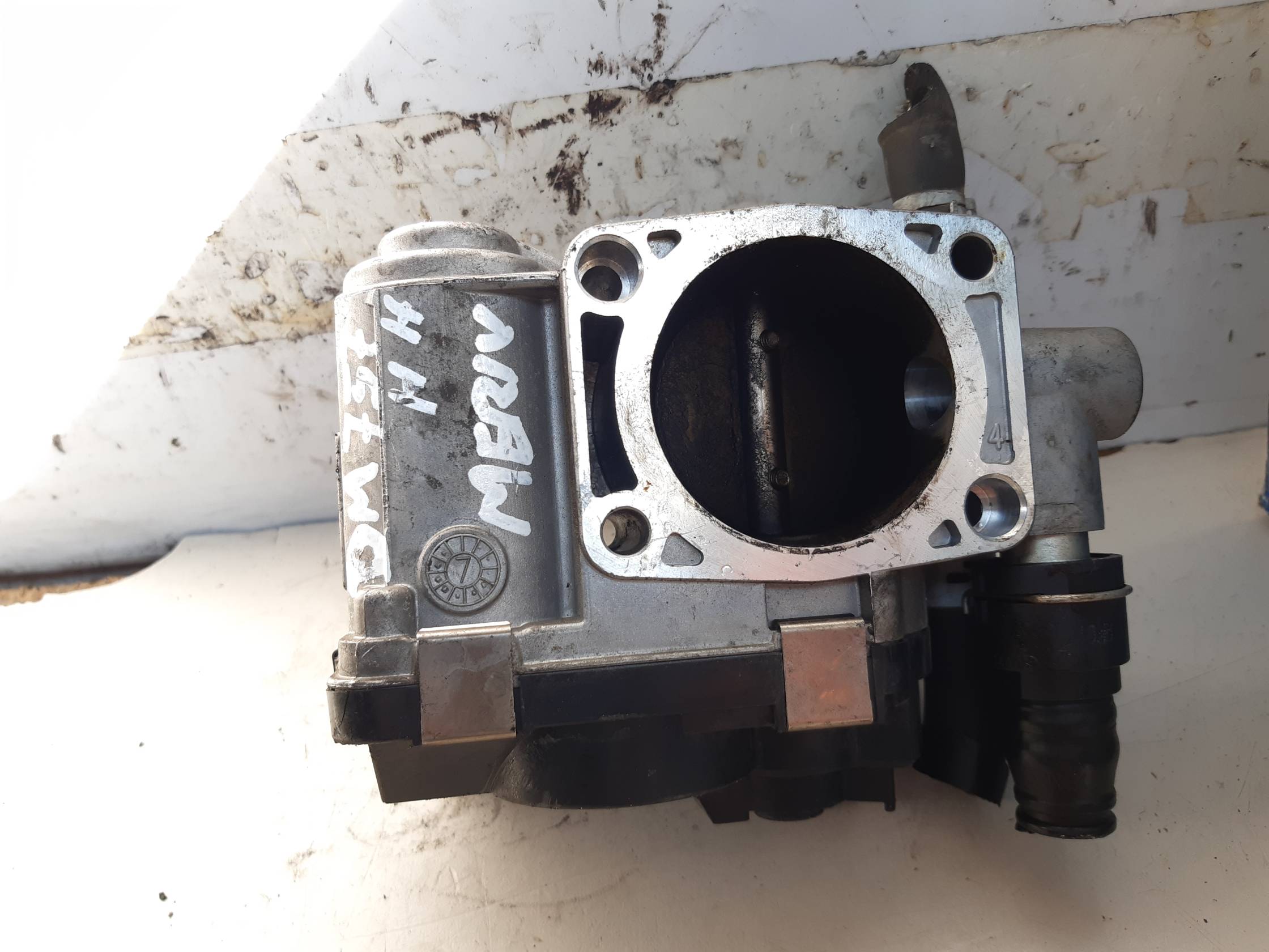 Corpo farfallato Corpo farfallato