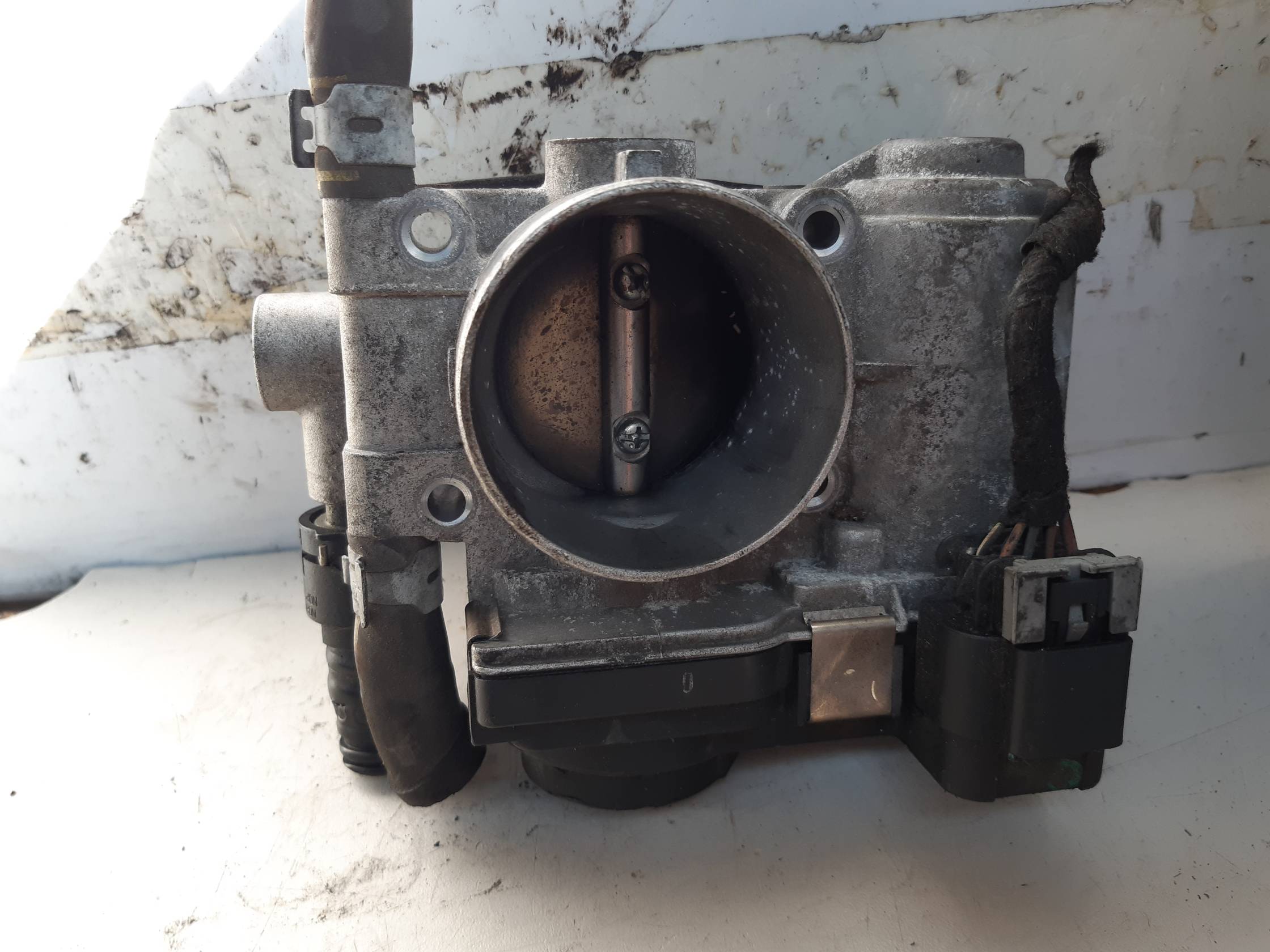 Corpo farfallato Corpo farfallato