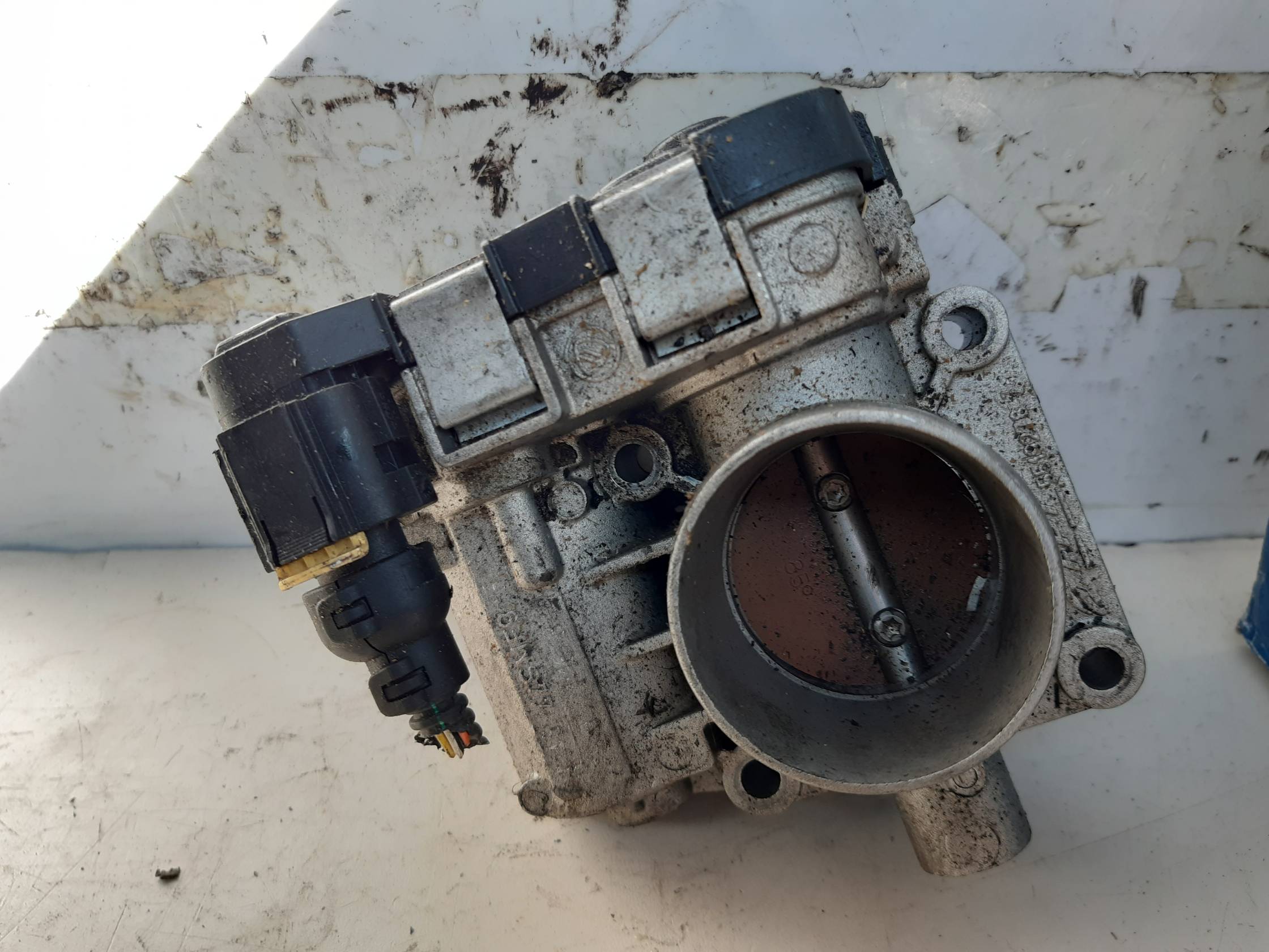 Corpo farfallato Corpo farfallato