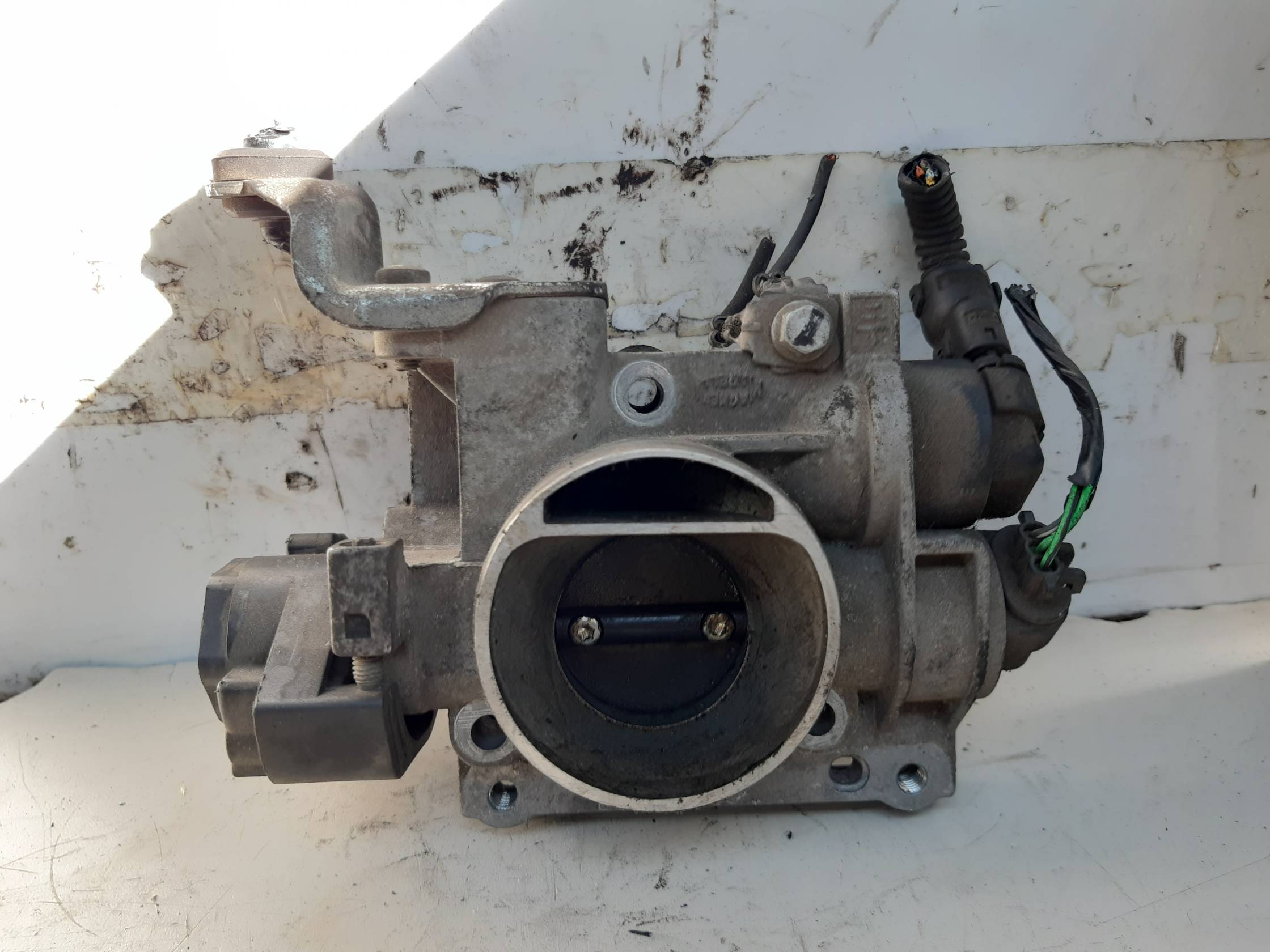 Corpo farfallato Corpo farfallato