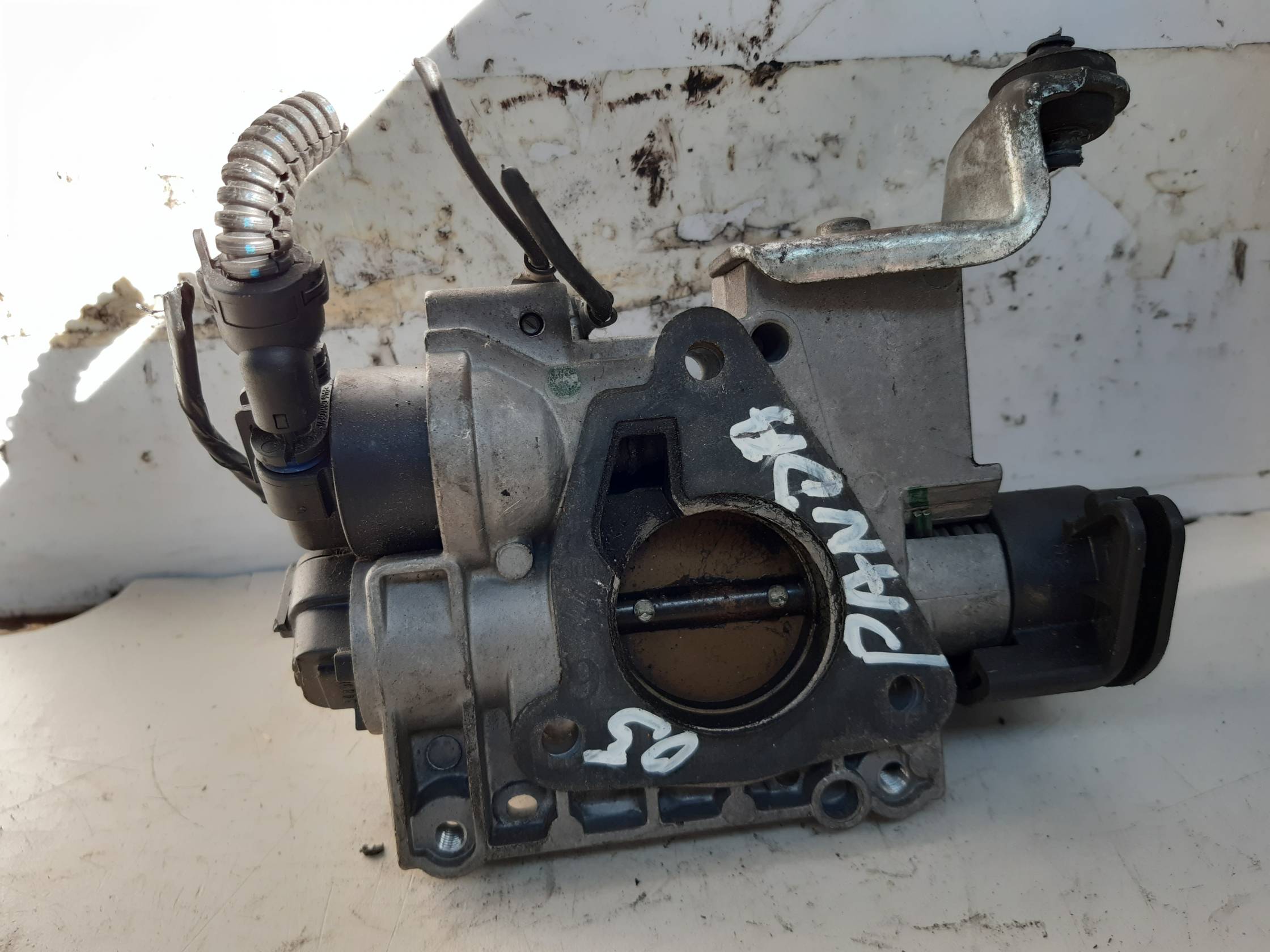 Corpo farfallato Corpo farfallato