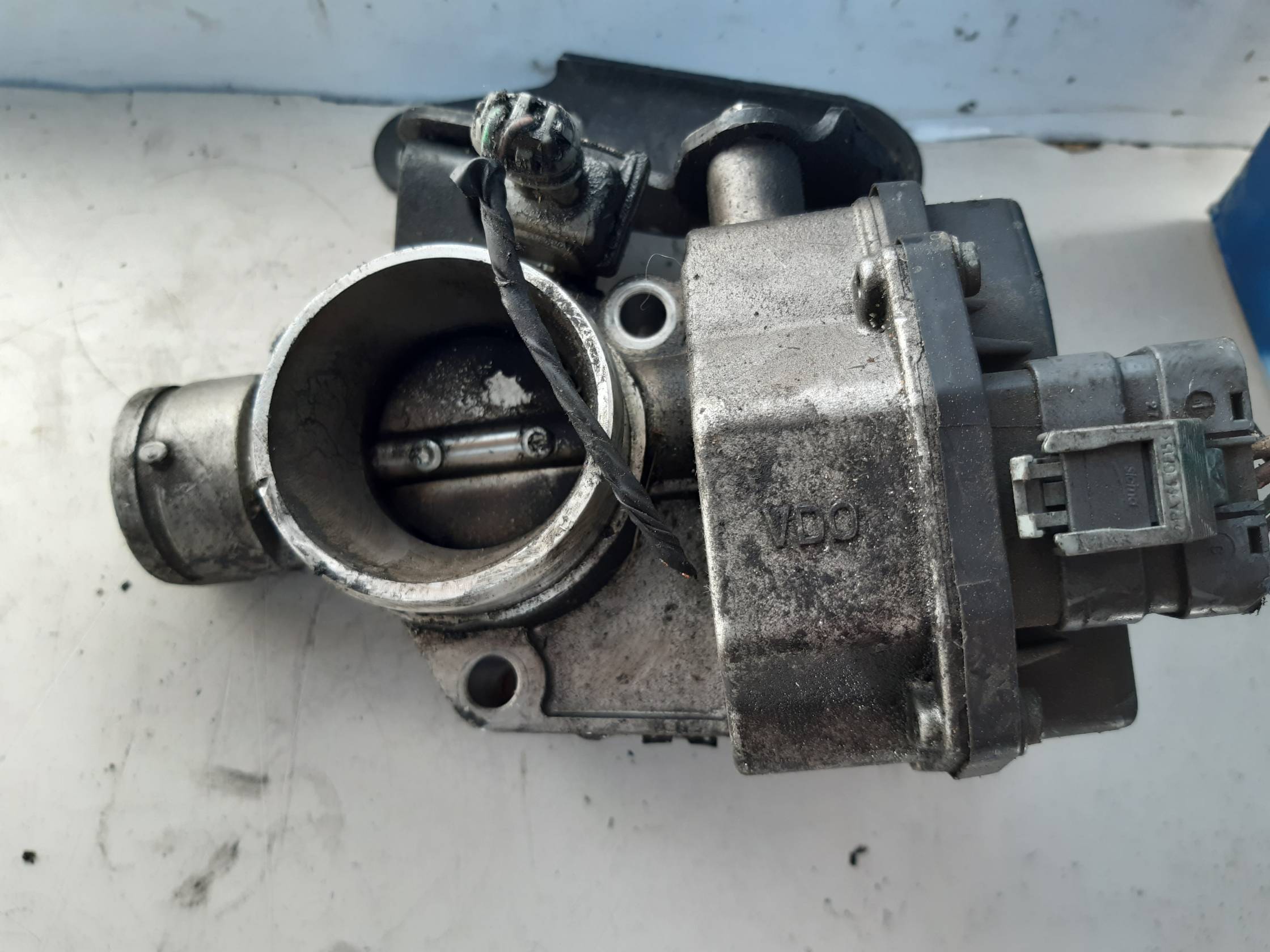 Corpo farfallato Corpo farfallato