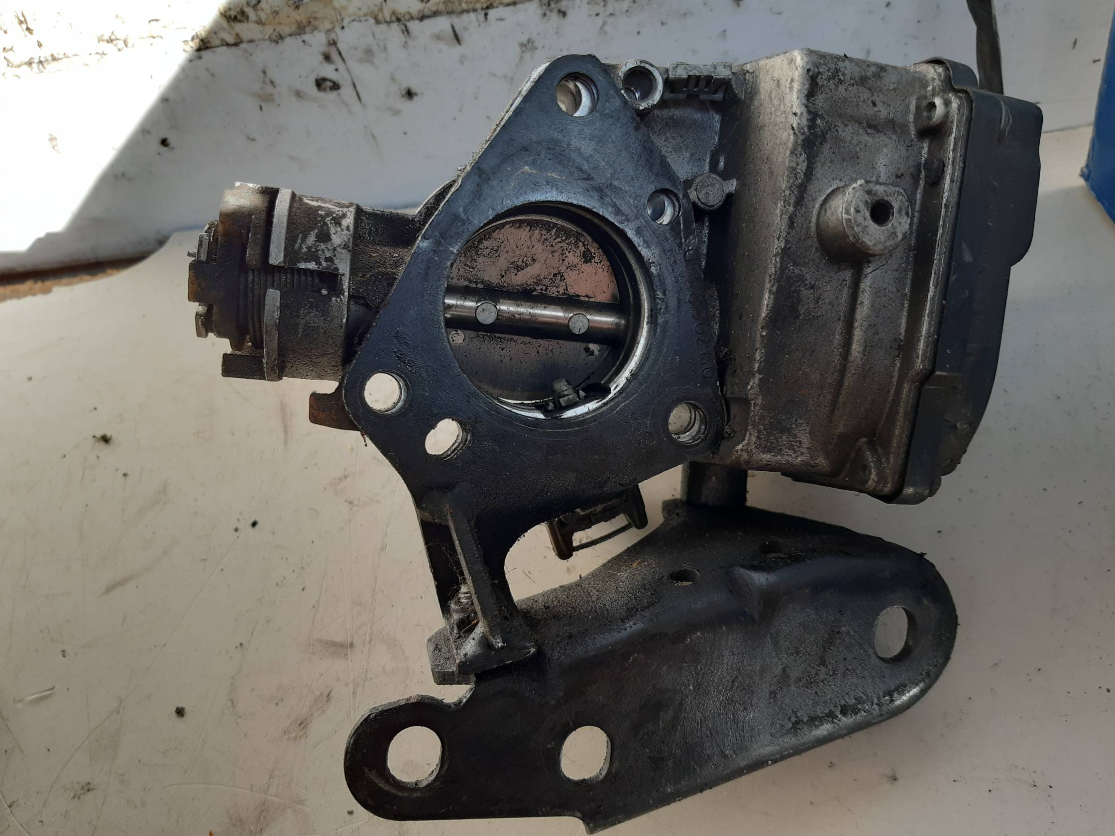 Corpo farfallato Corpo farfallato