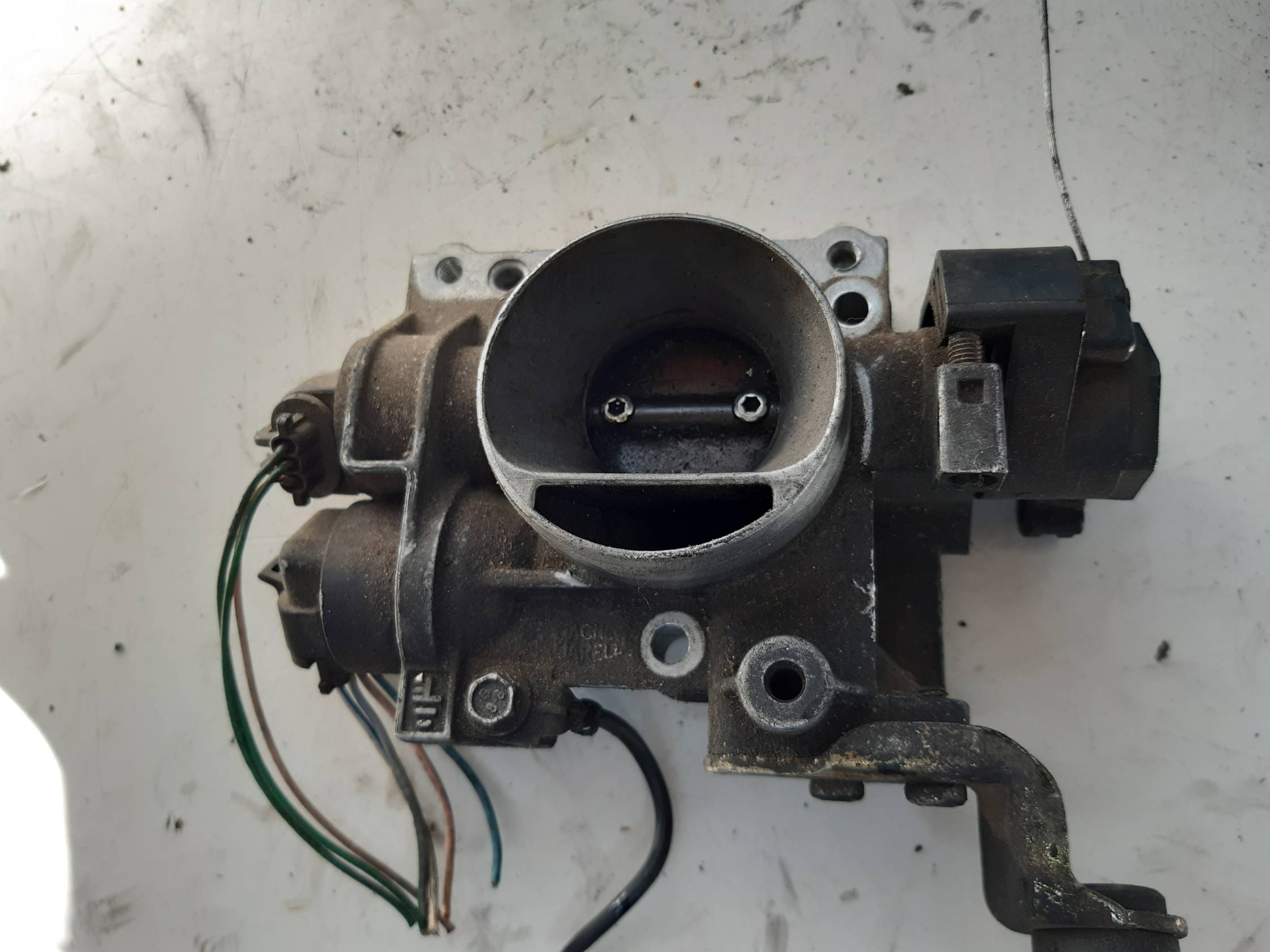 Corpo farfallato Corpo farfallato