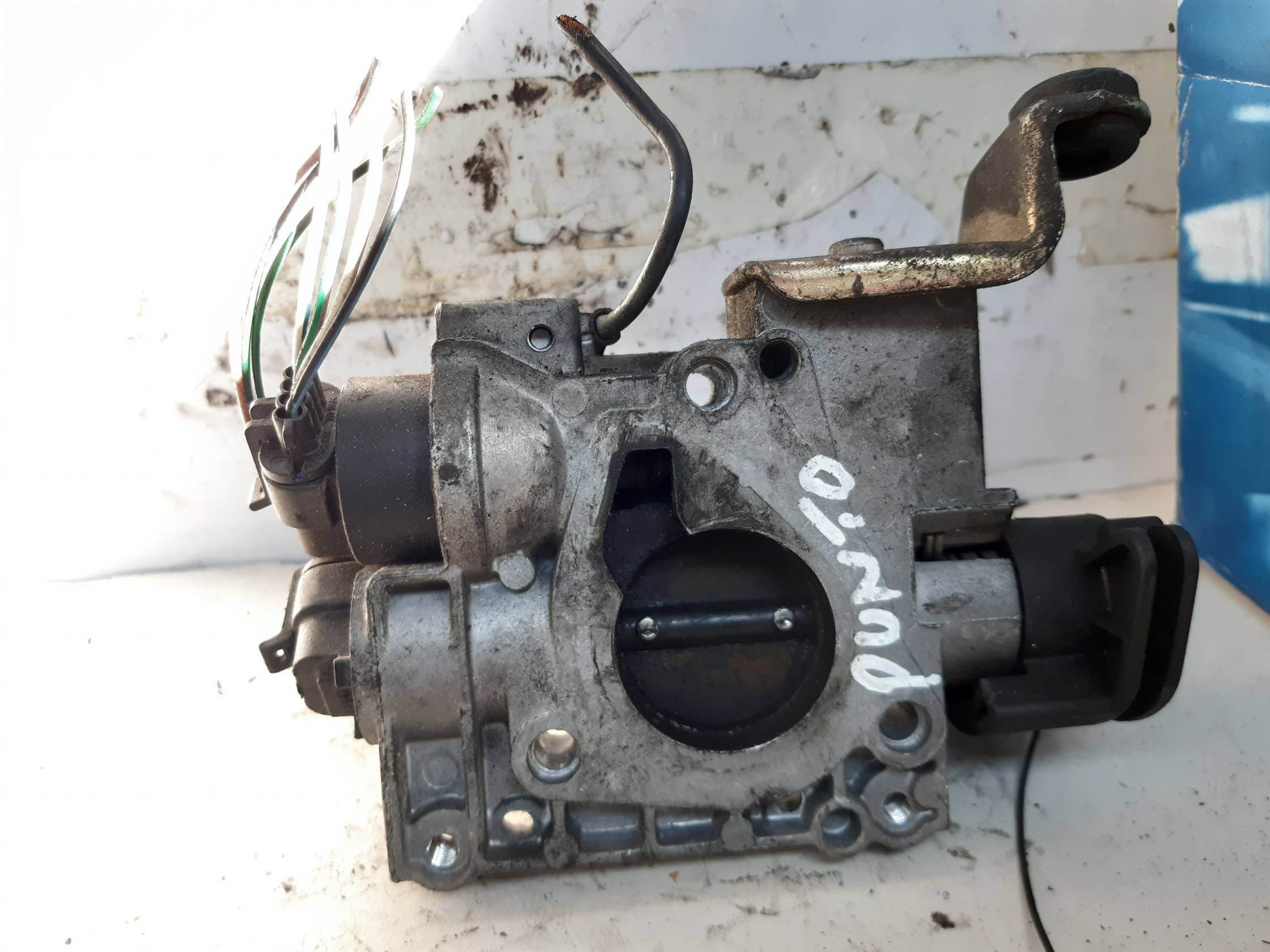 Corpo farfallato Corpo farfallato