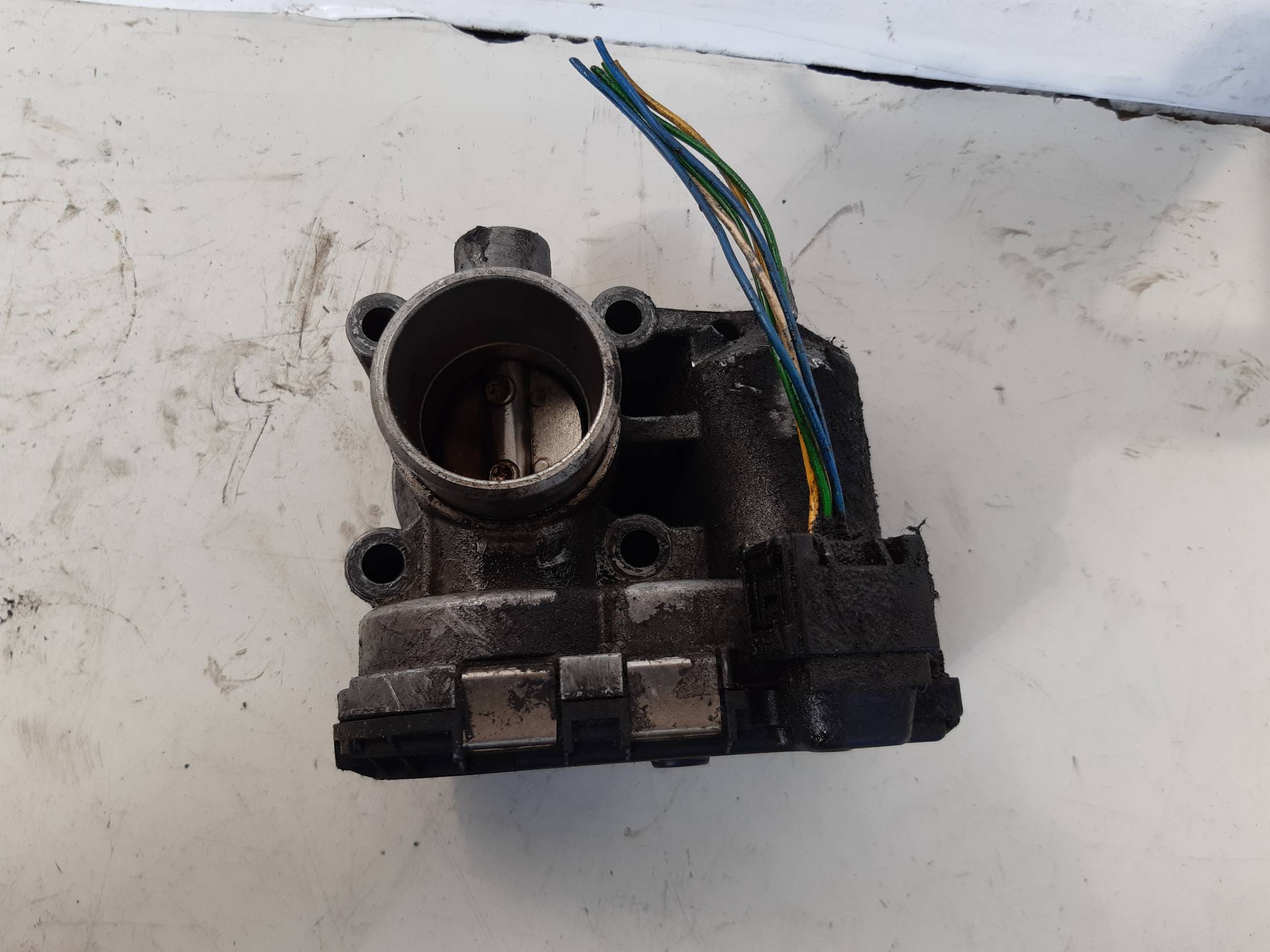 Corpo farfallato Corpo farfallato