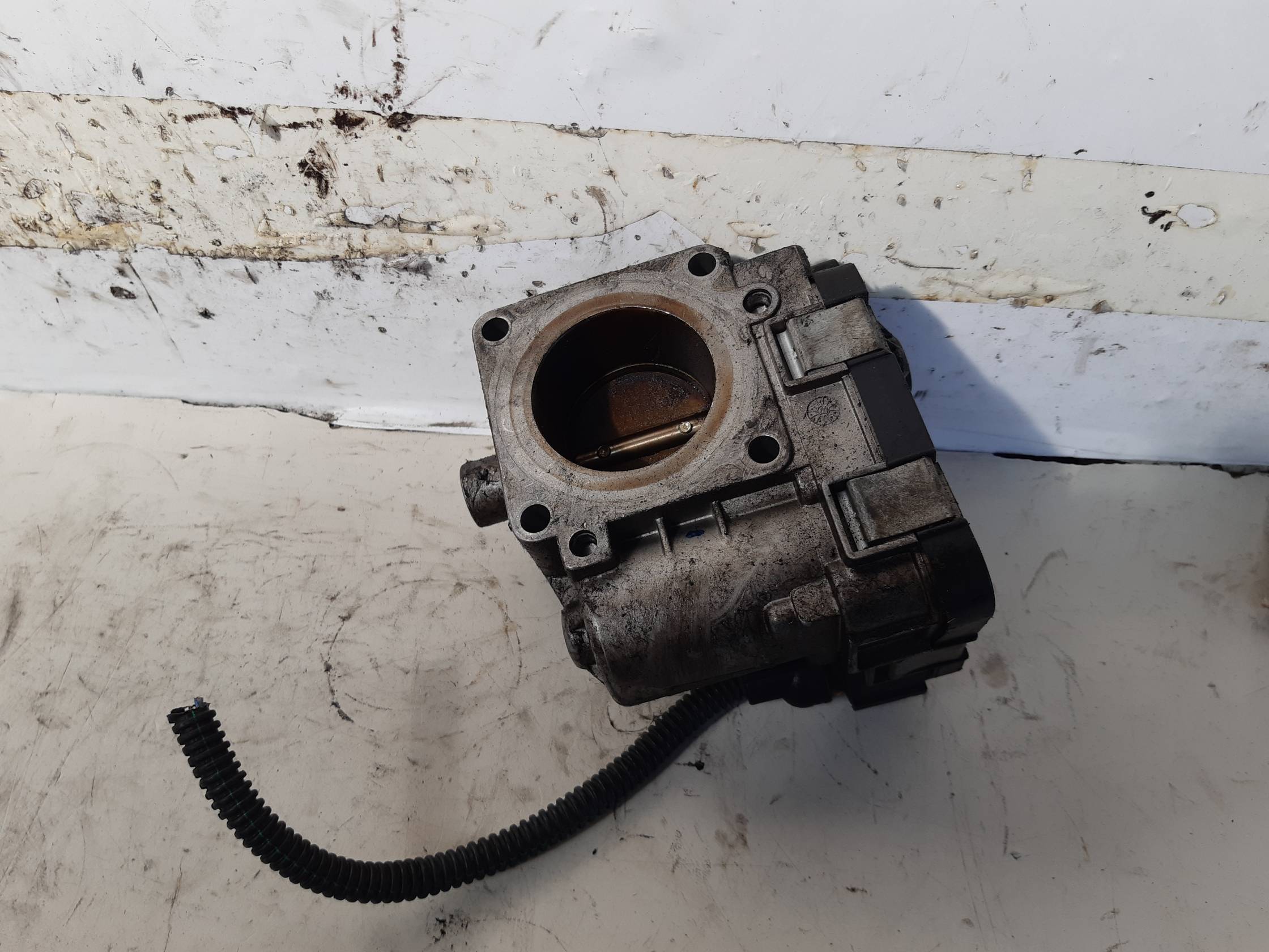 Corpo farfallato Corpo farfallato