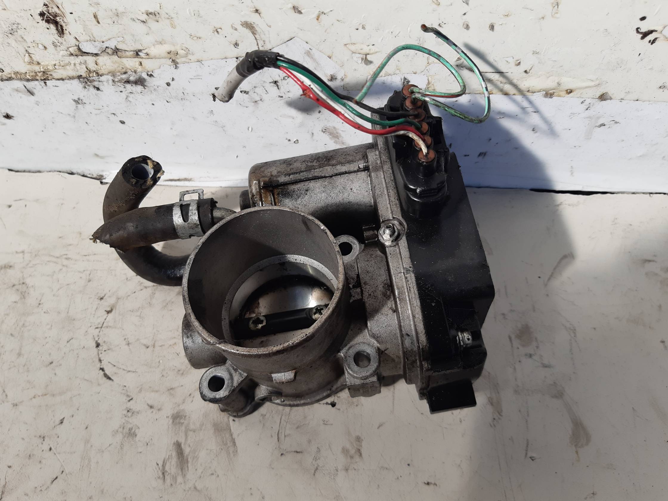 Corpo farfallato Corpo farfallato