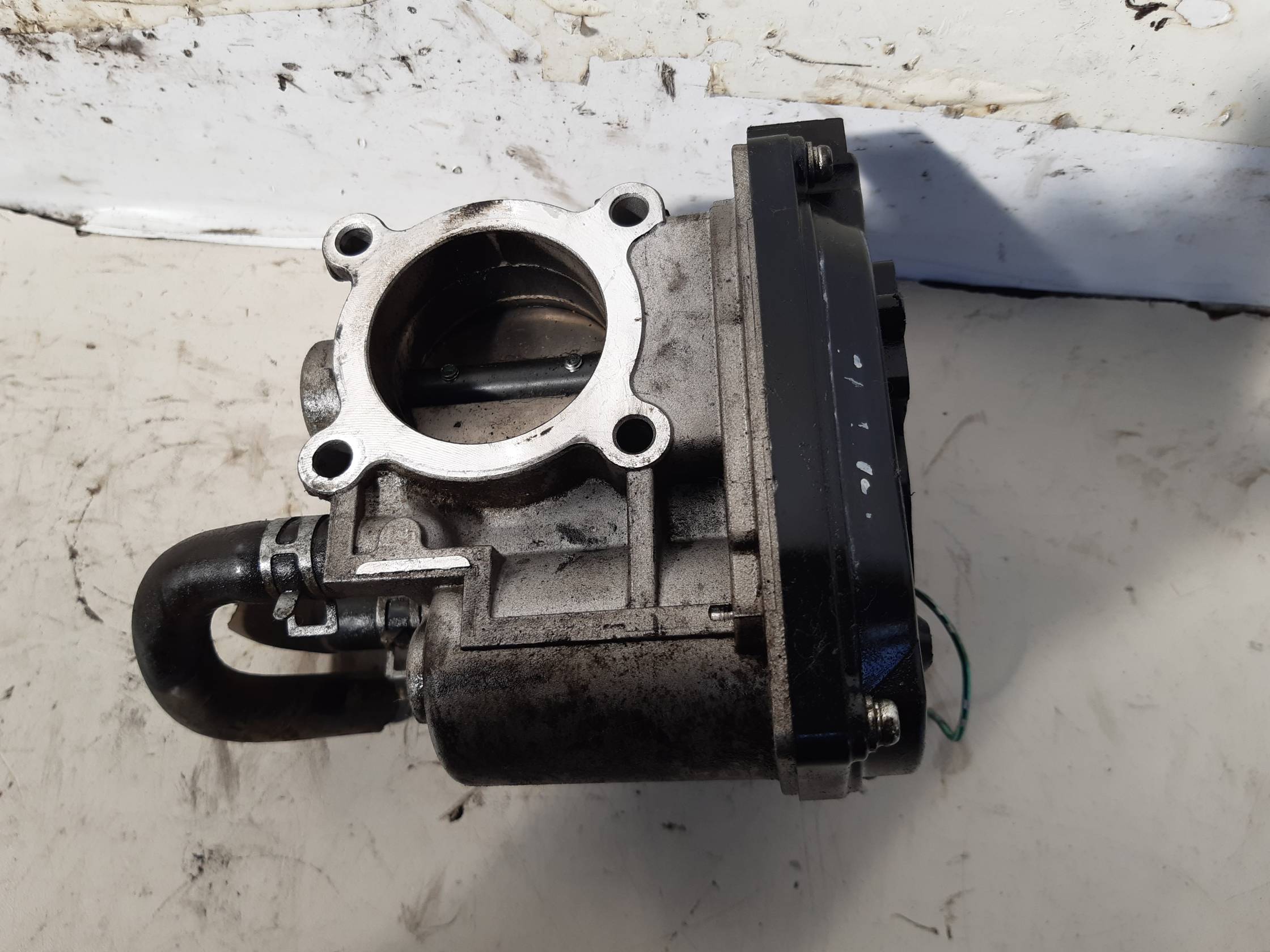 Corpo farfallato Corpo farfallato