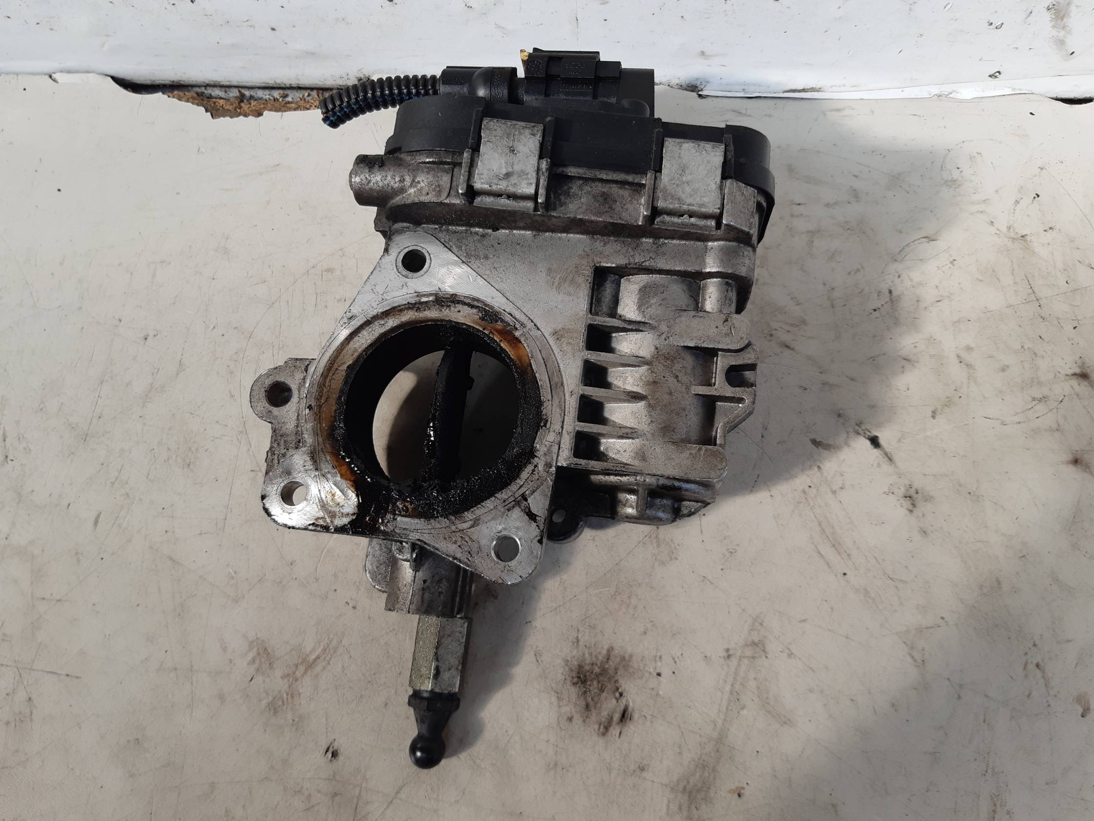 Corpo farfallato Corpo farfallato