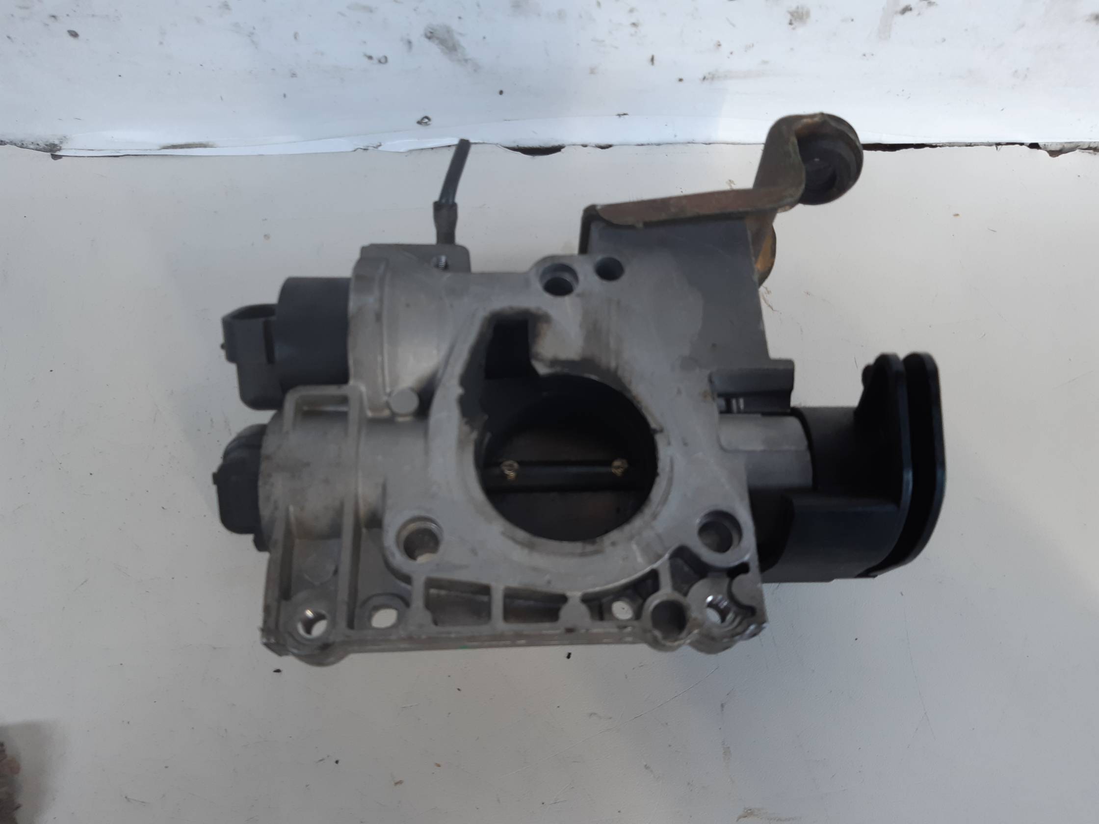 Corpo farfallato Corpo farfallato