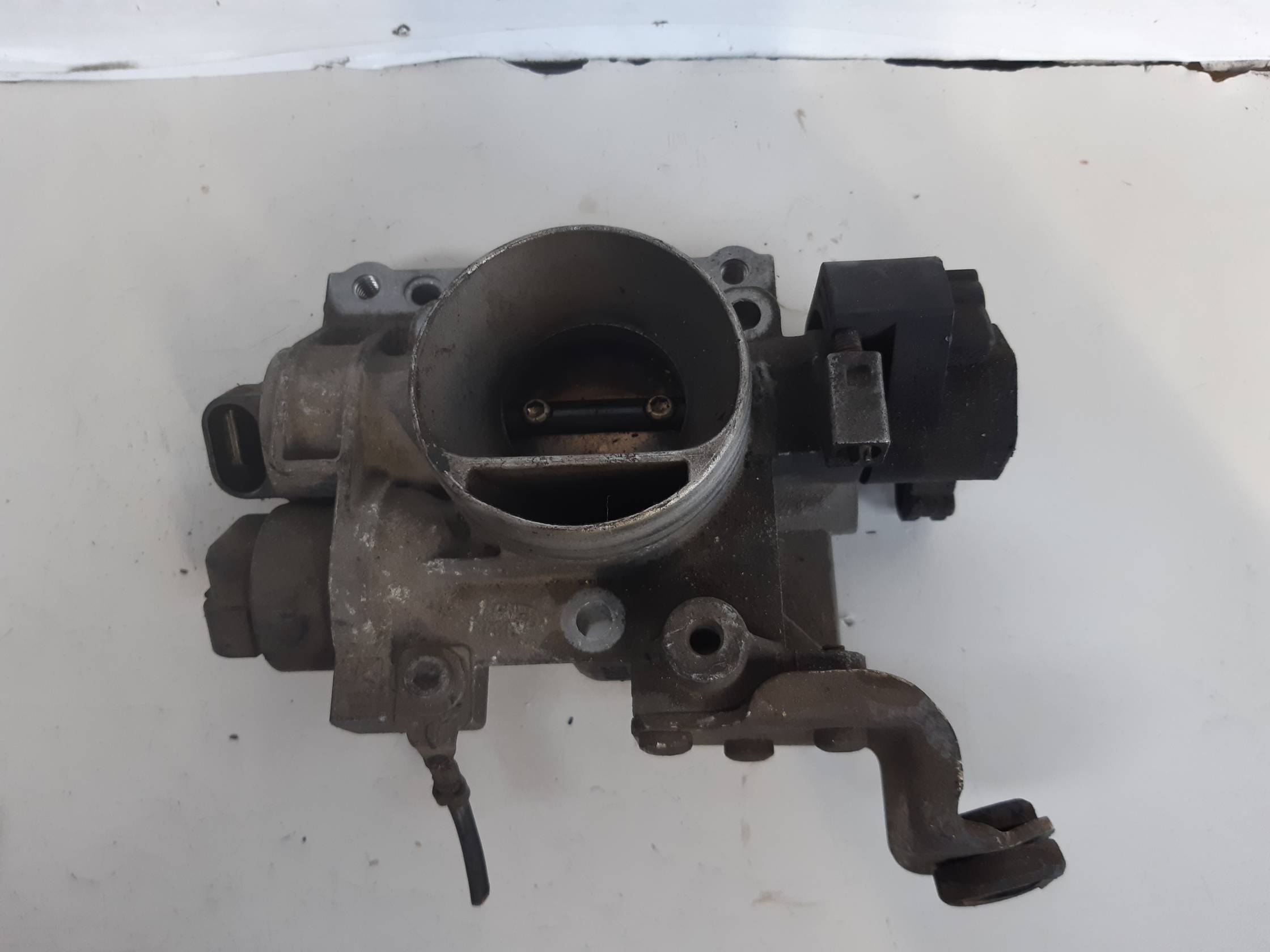 Corpo farfallato Corpo farfallato