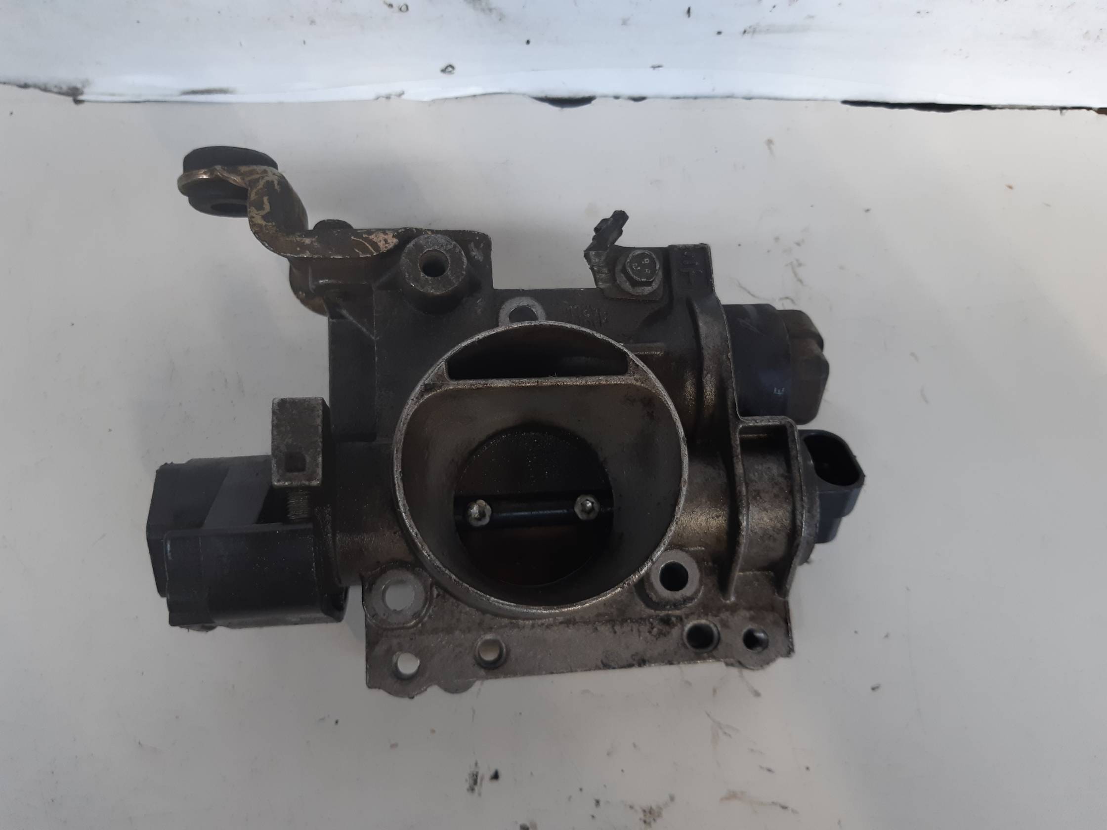 Corpo farfallato Corpo farfallato