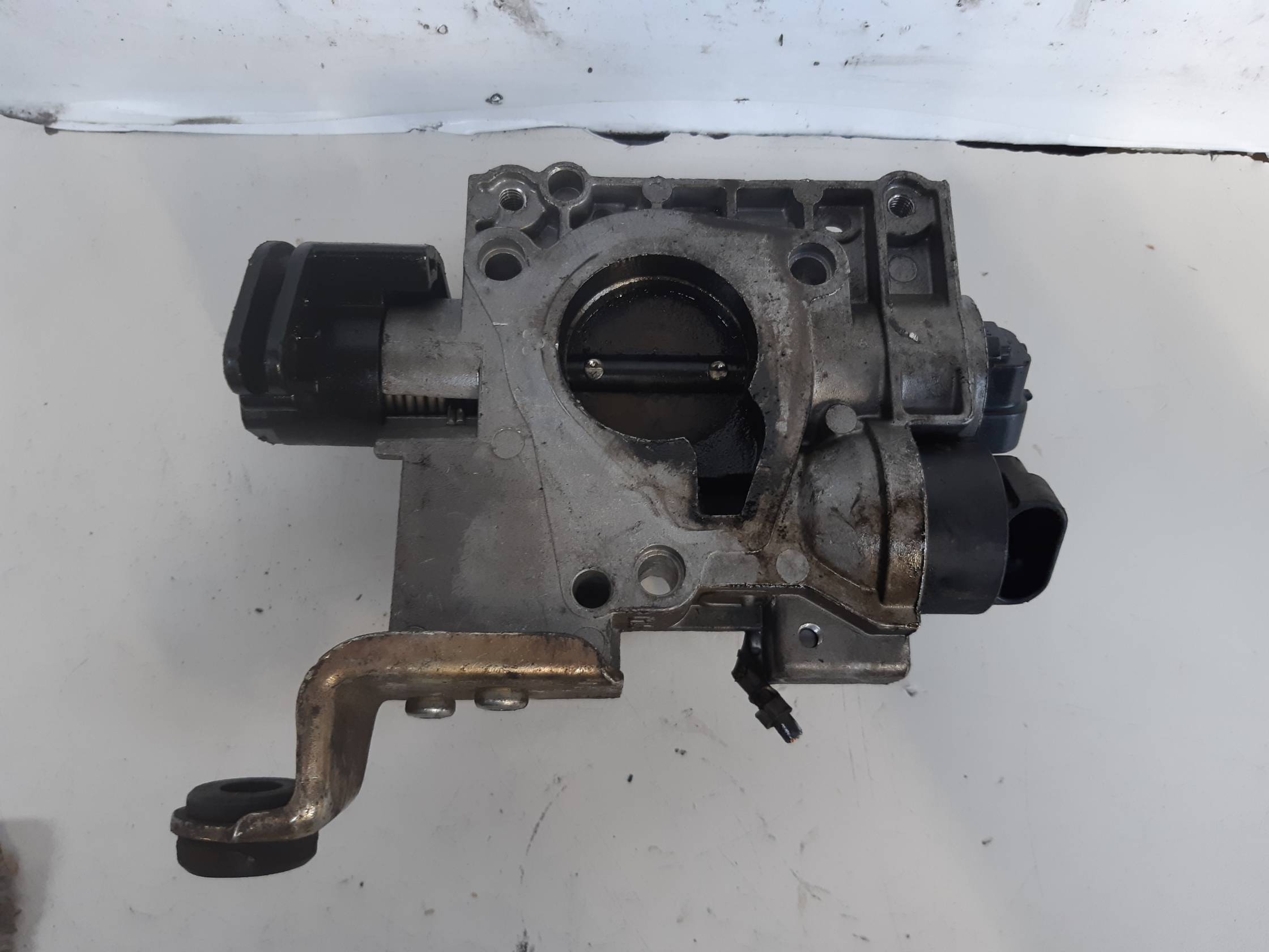 Corpo farfallato Corpo farfallato