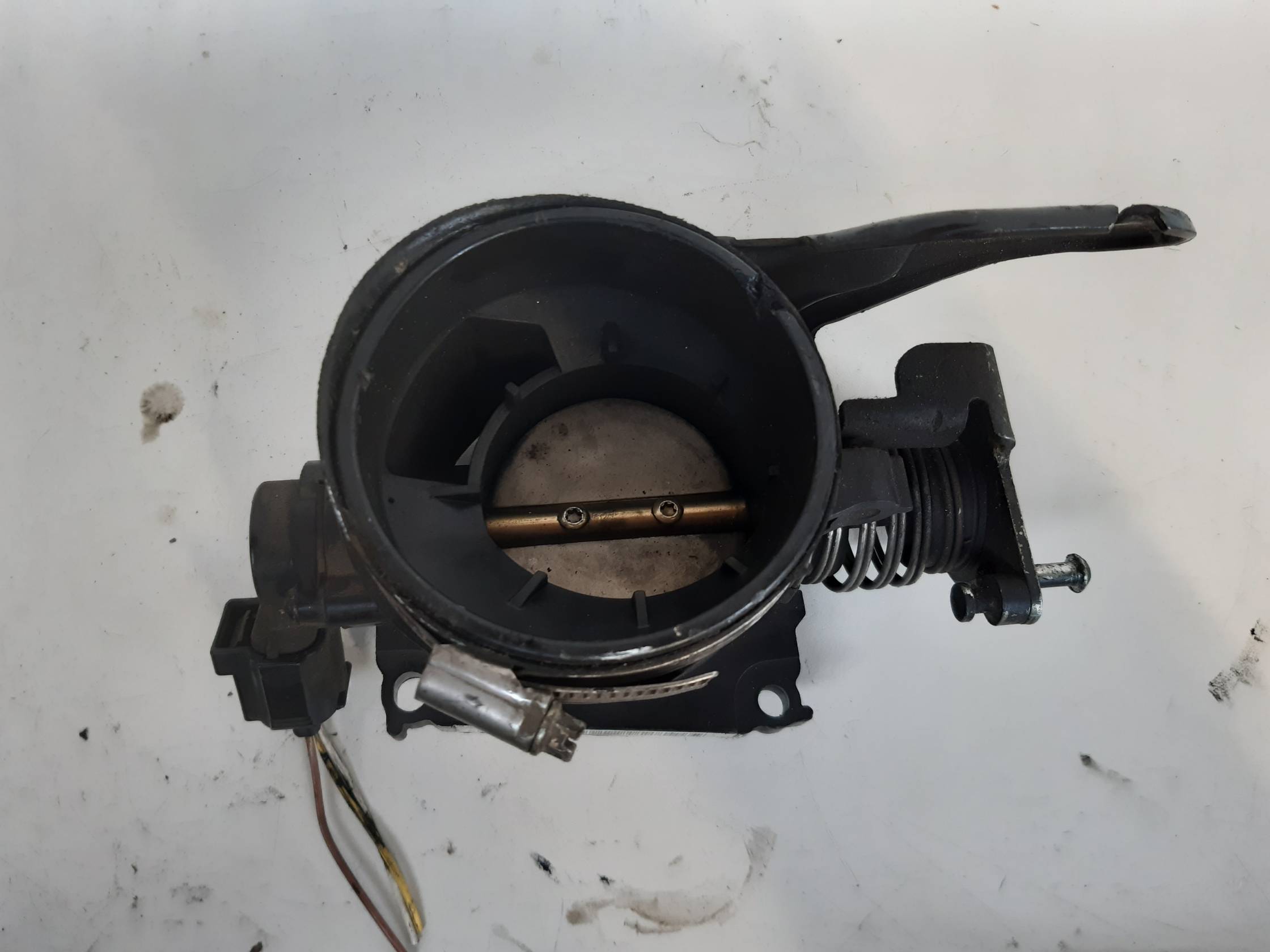 Corpo farfallato Corpo farfallato