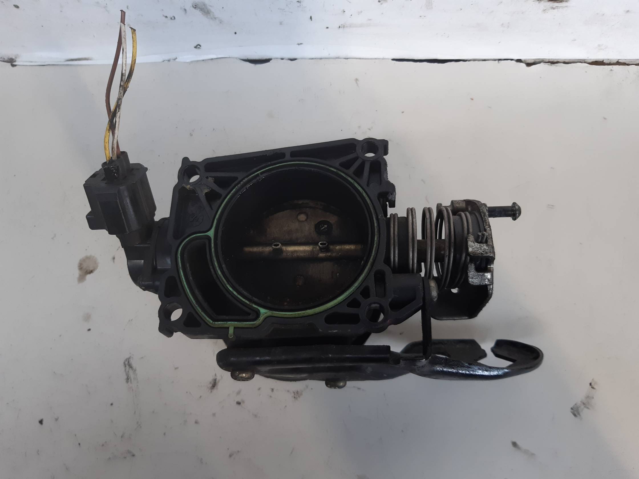 Corpo farfallato Corpo farfallato