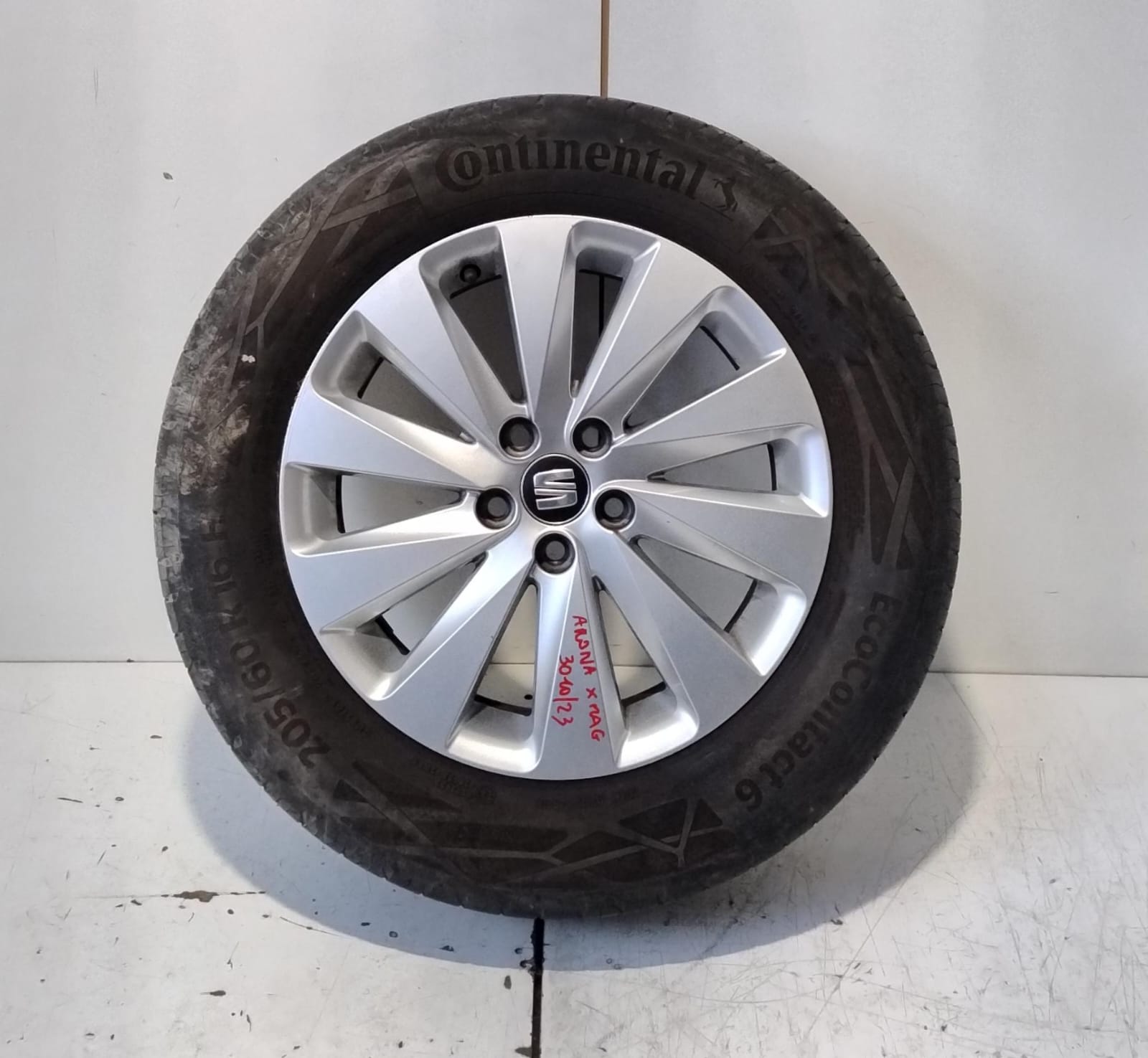 Cerchio in Lega r 16