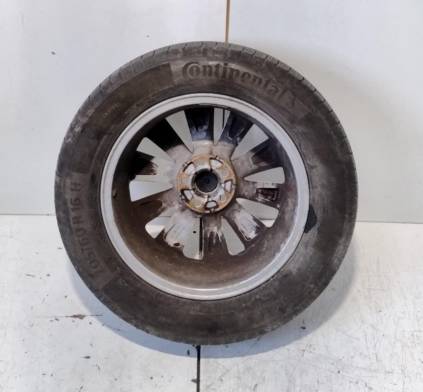 Cerchio in Lega r 16