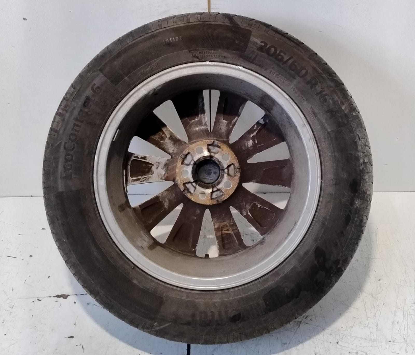 Cerchio in Lega r 16