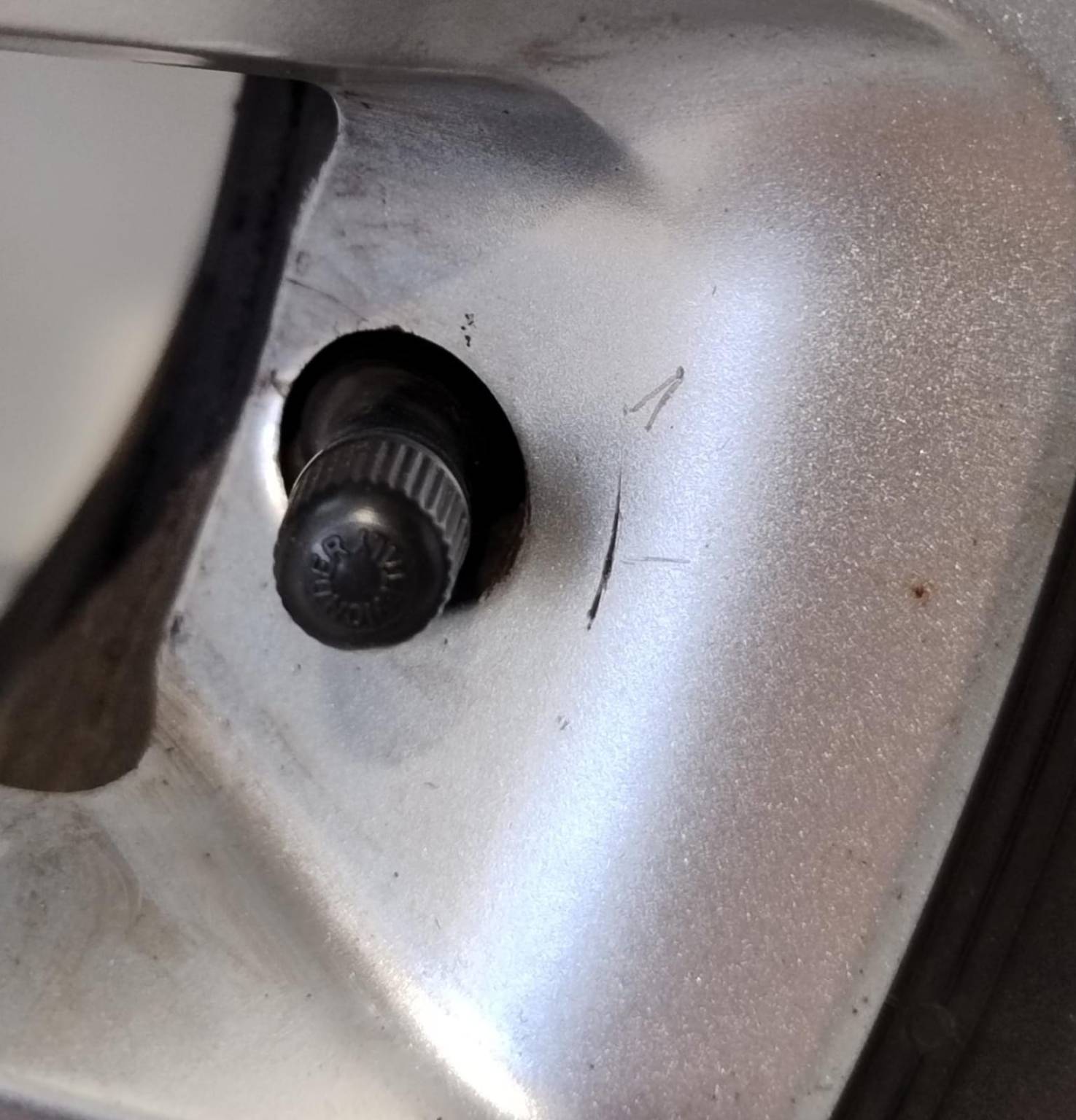 Cerchio in Lega r 16