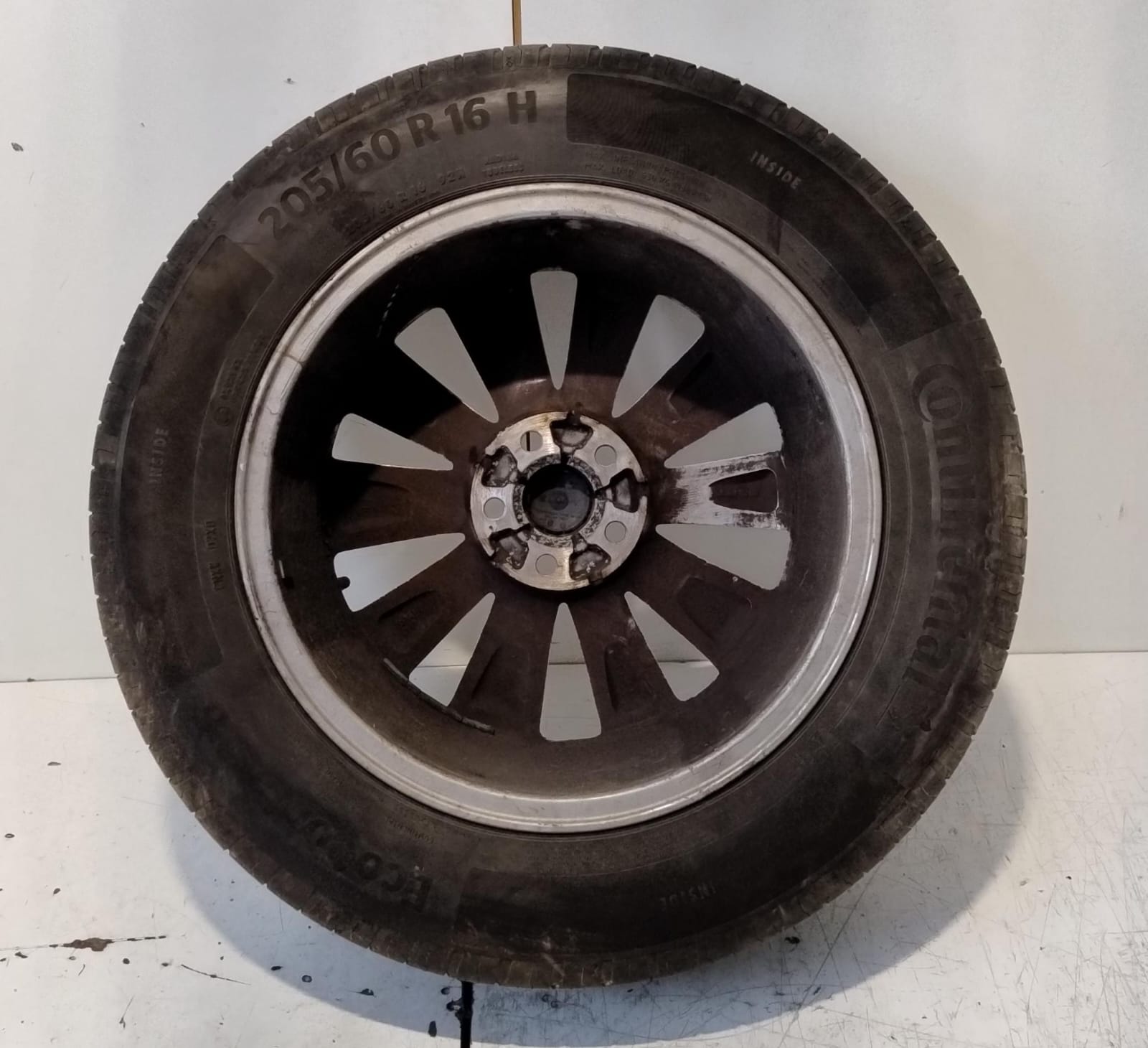 Cerchio in Lega r 16