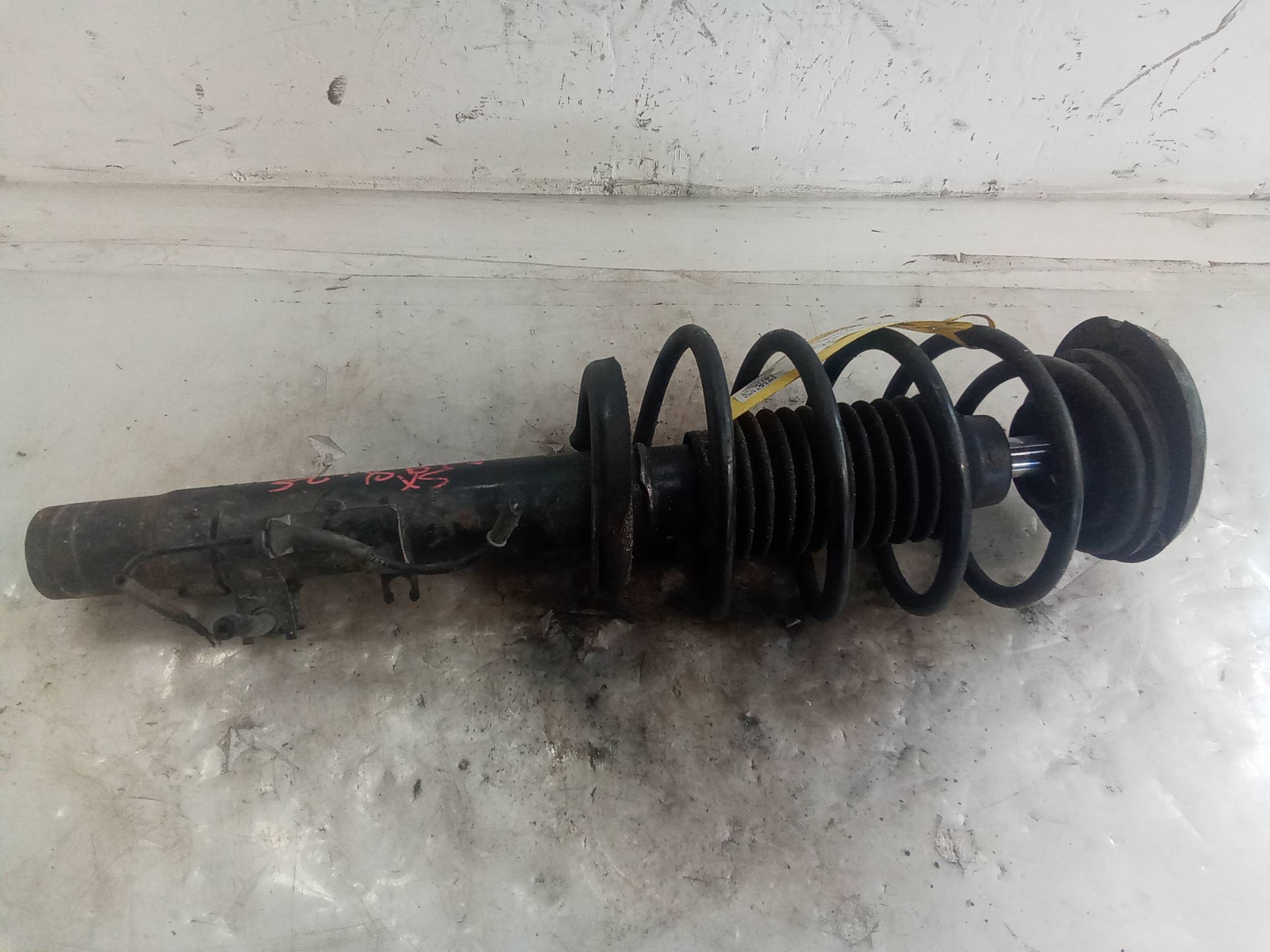 Ammortizzatore ant. sx.